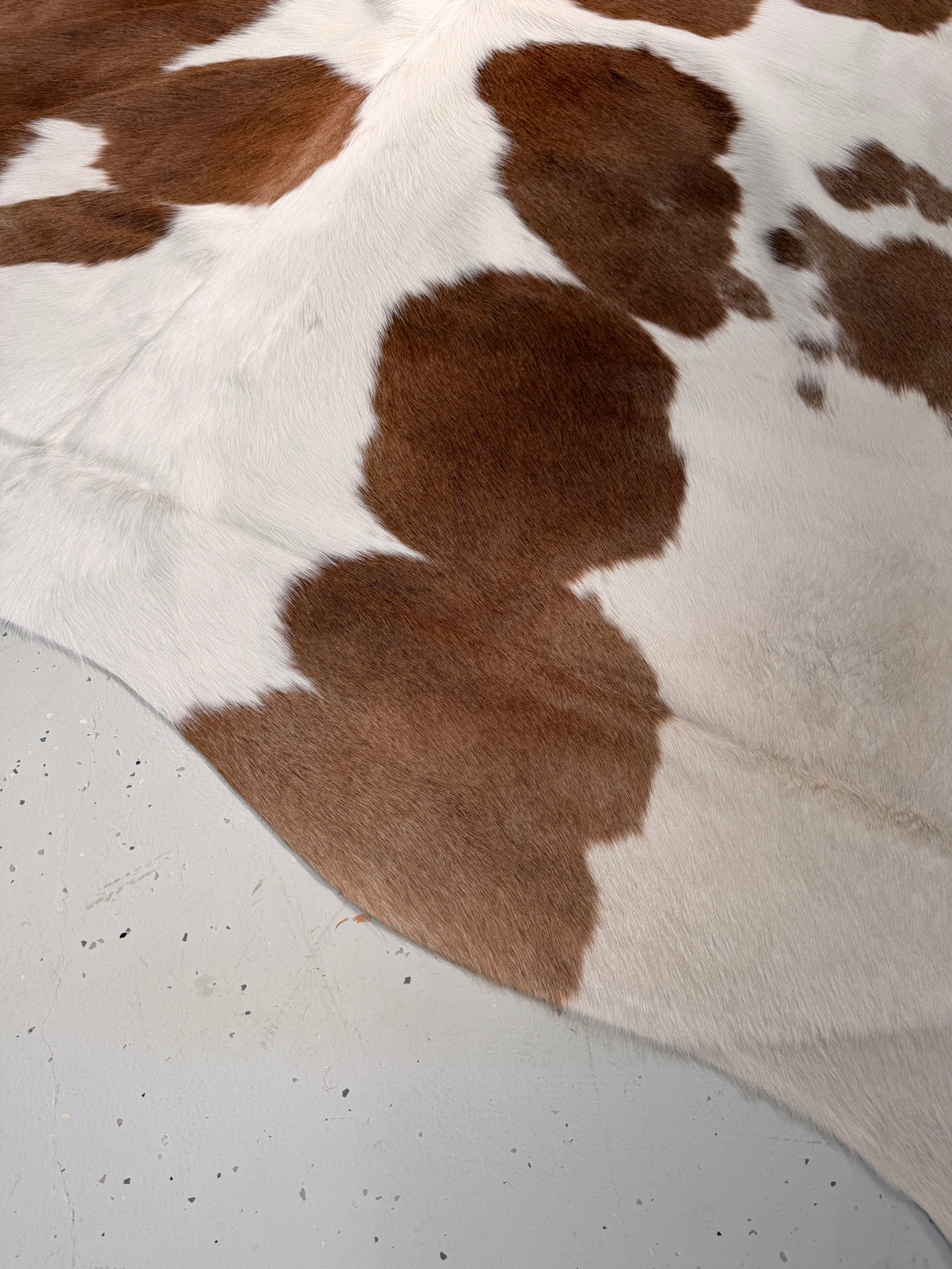 Genuine Cowhide Floor Rug 034