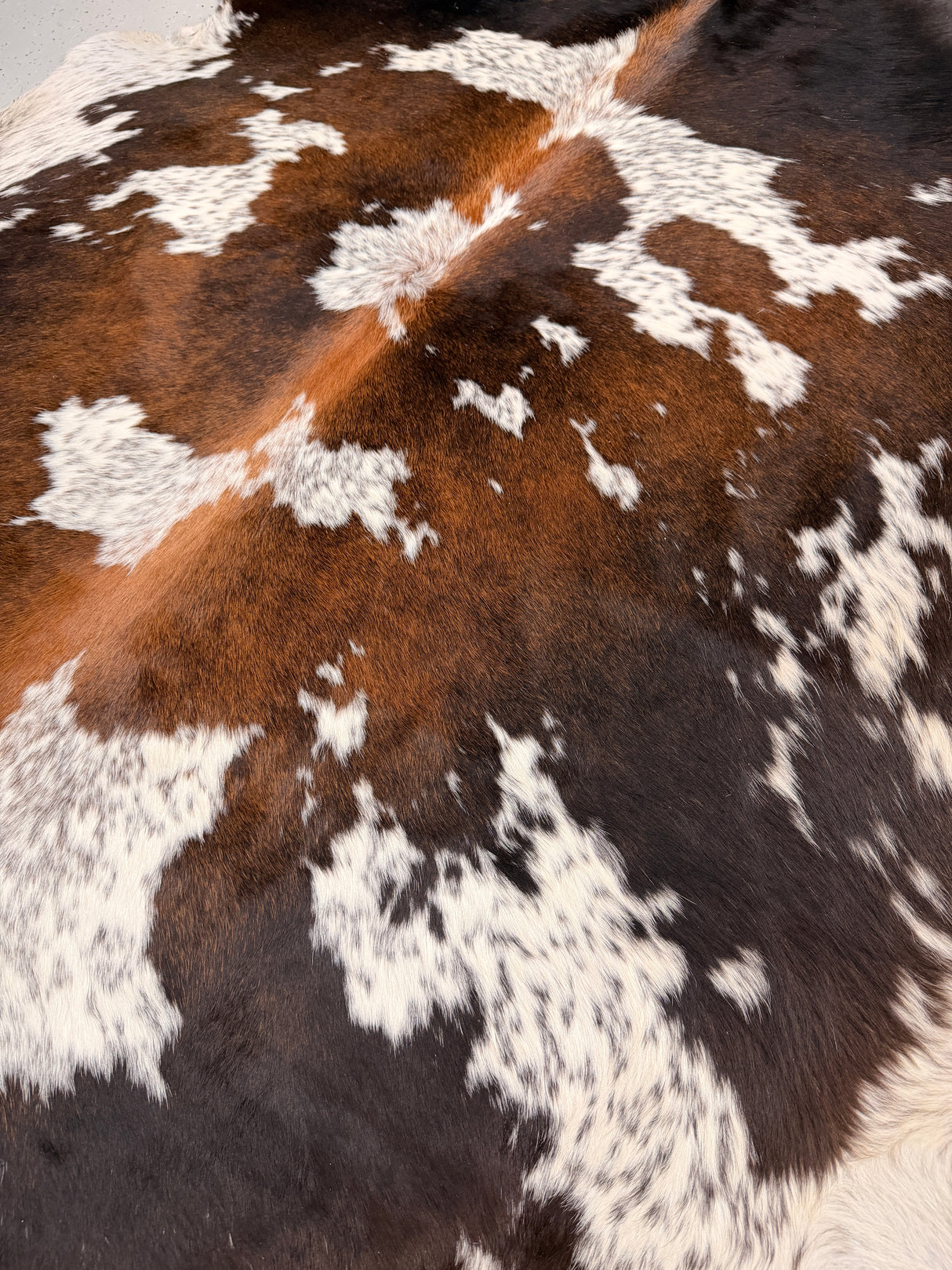 Genuine Cowhide Floor Rug 67-1