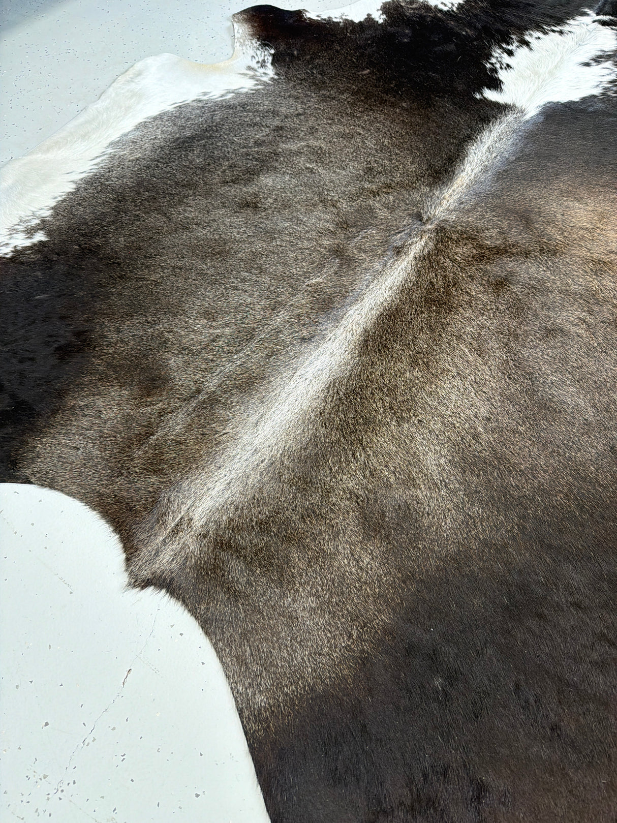 Genuine Cowhide Floor Rug 499