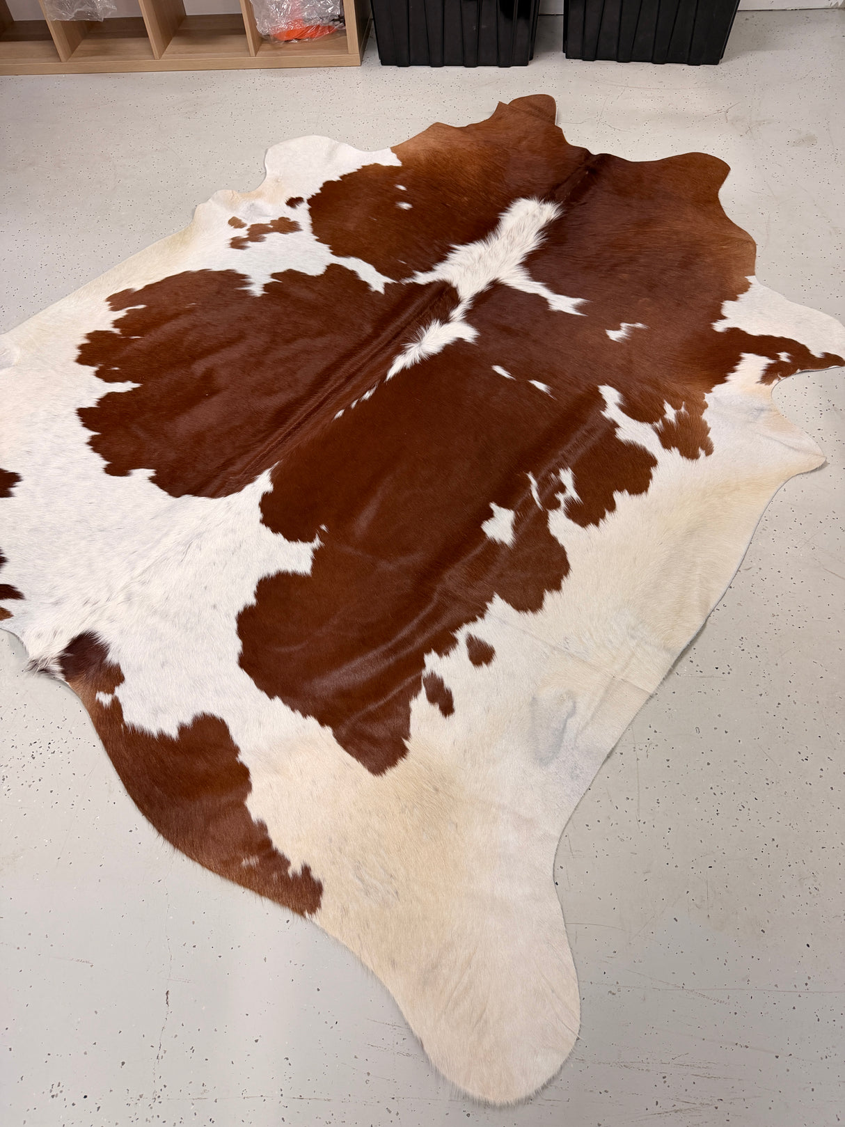 Genuine Cowhide Floor Rug 036