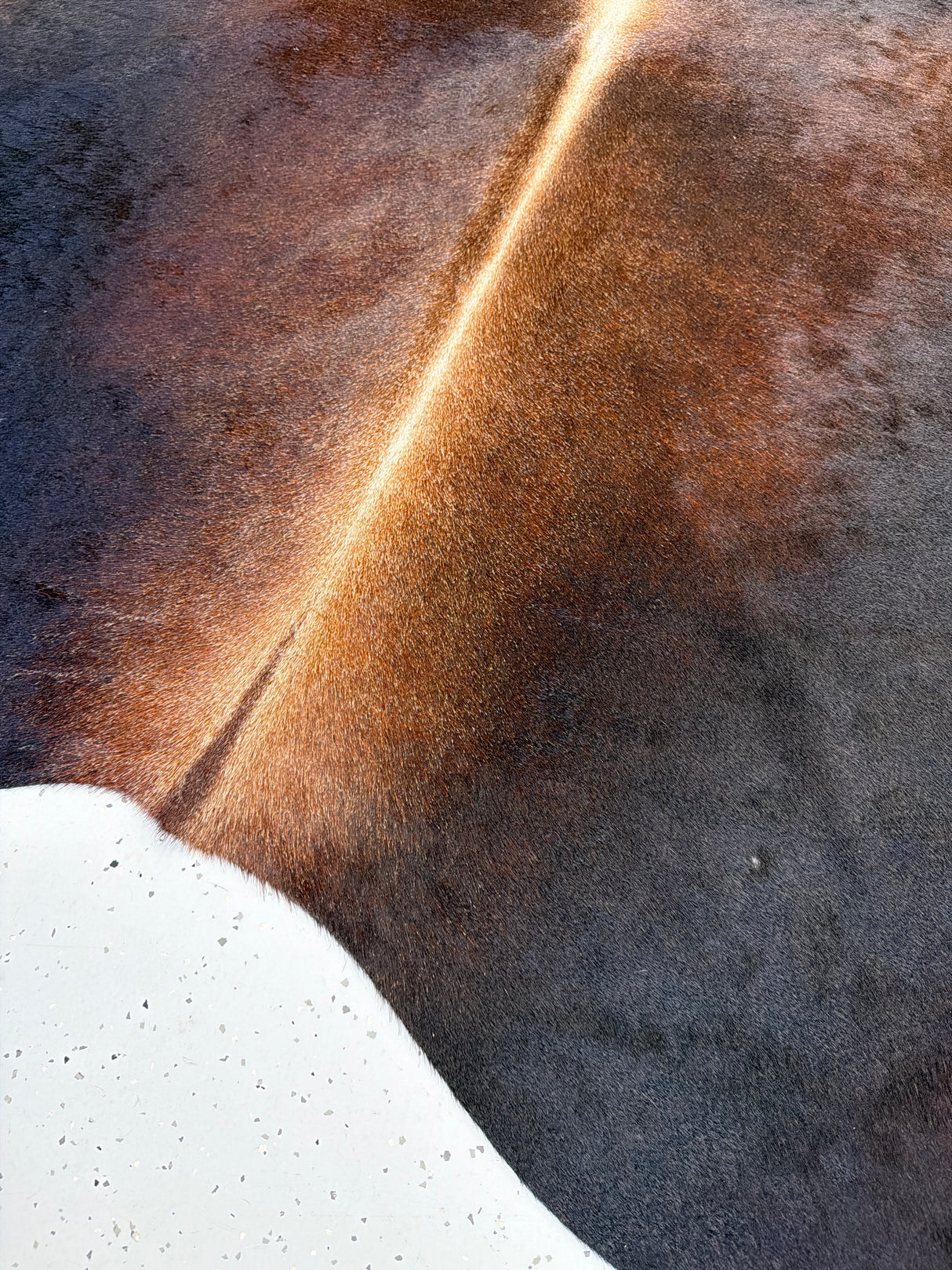Genuine Cowhide Floor Rug 577