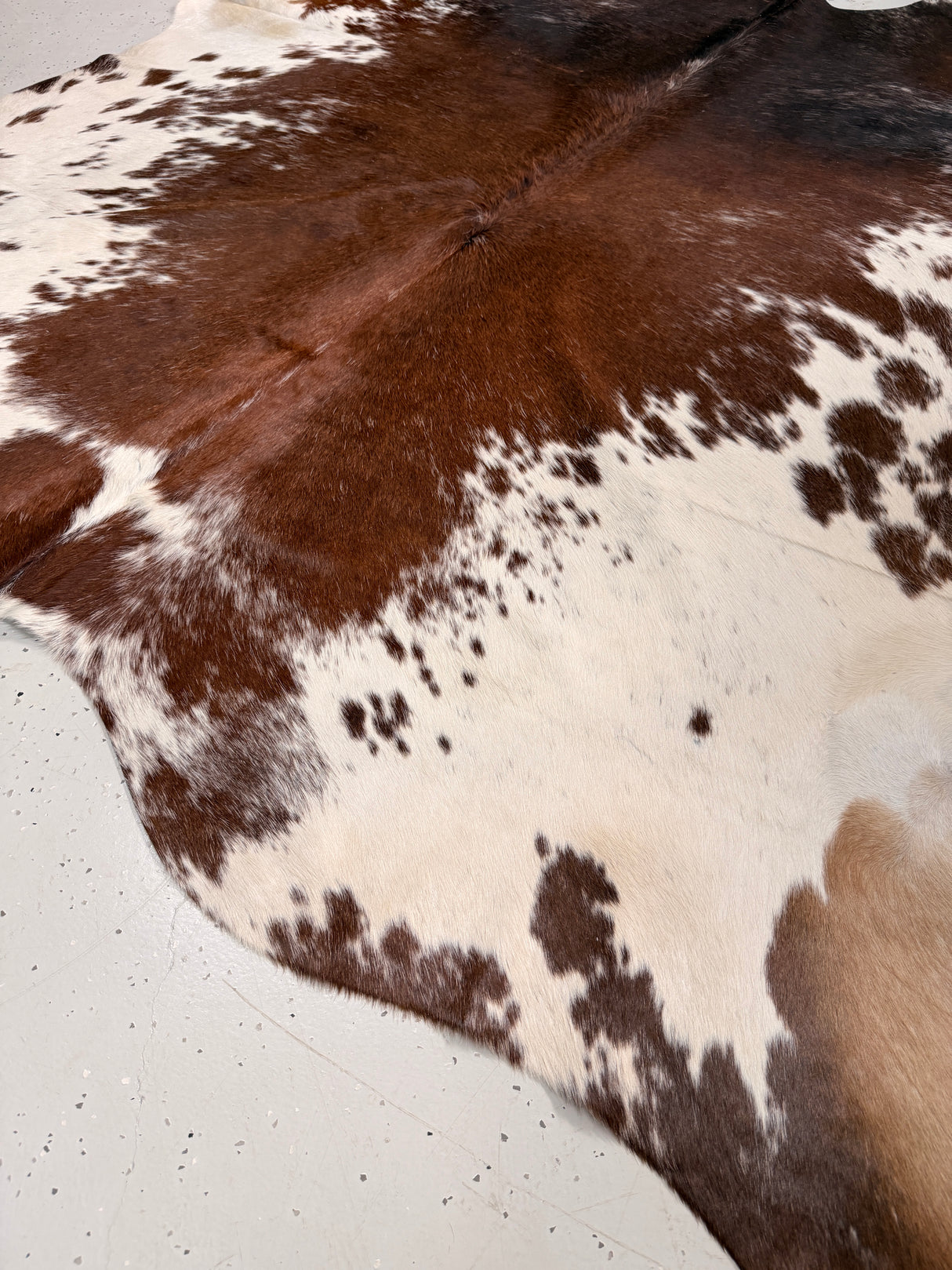 Genuine Cowhide Floor Rug 020