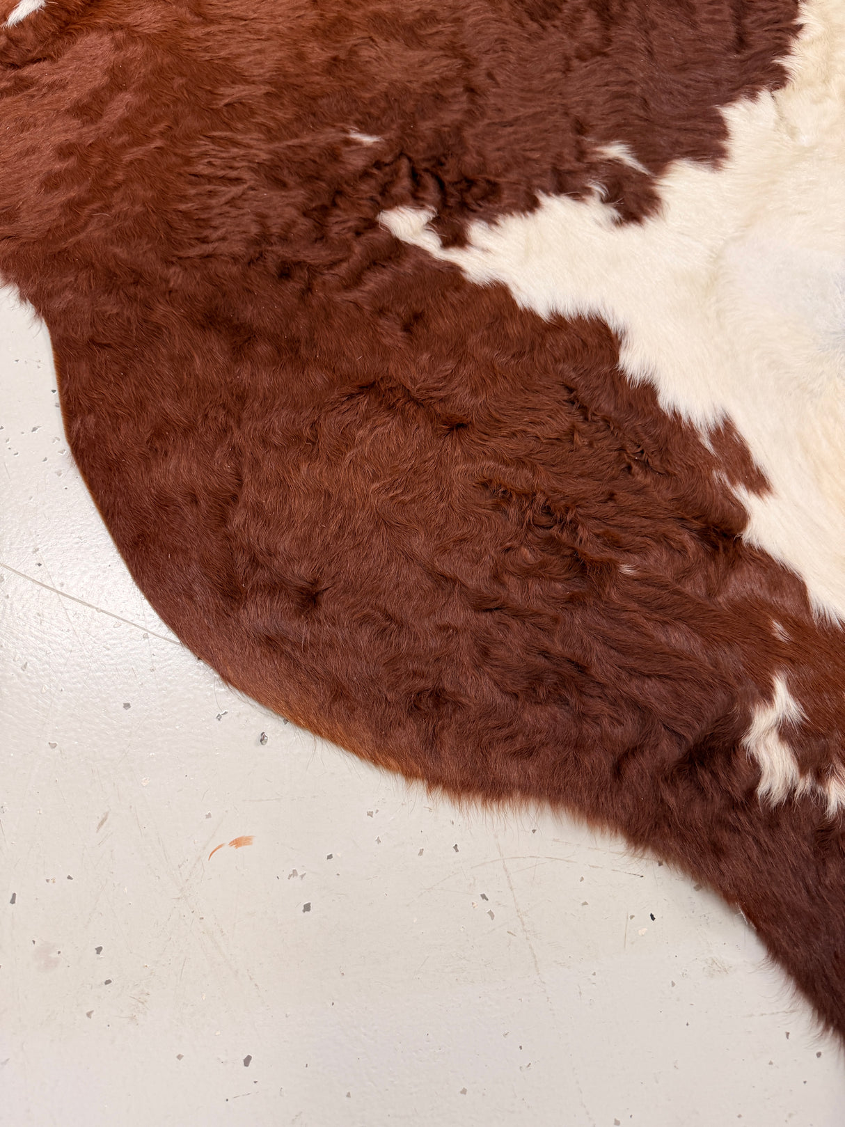 Genuine Cowhide Floor Rug 048
