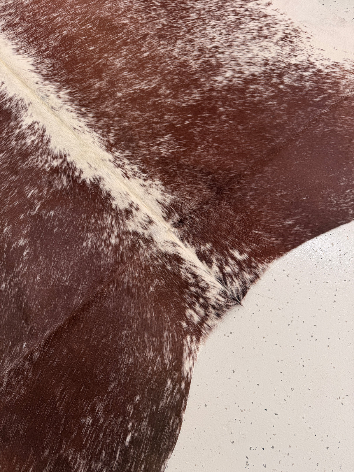 Genuine Cowhide Floor Rug 998
