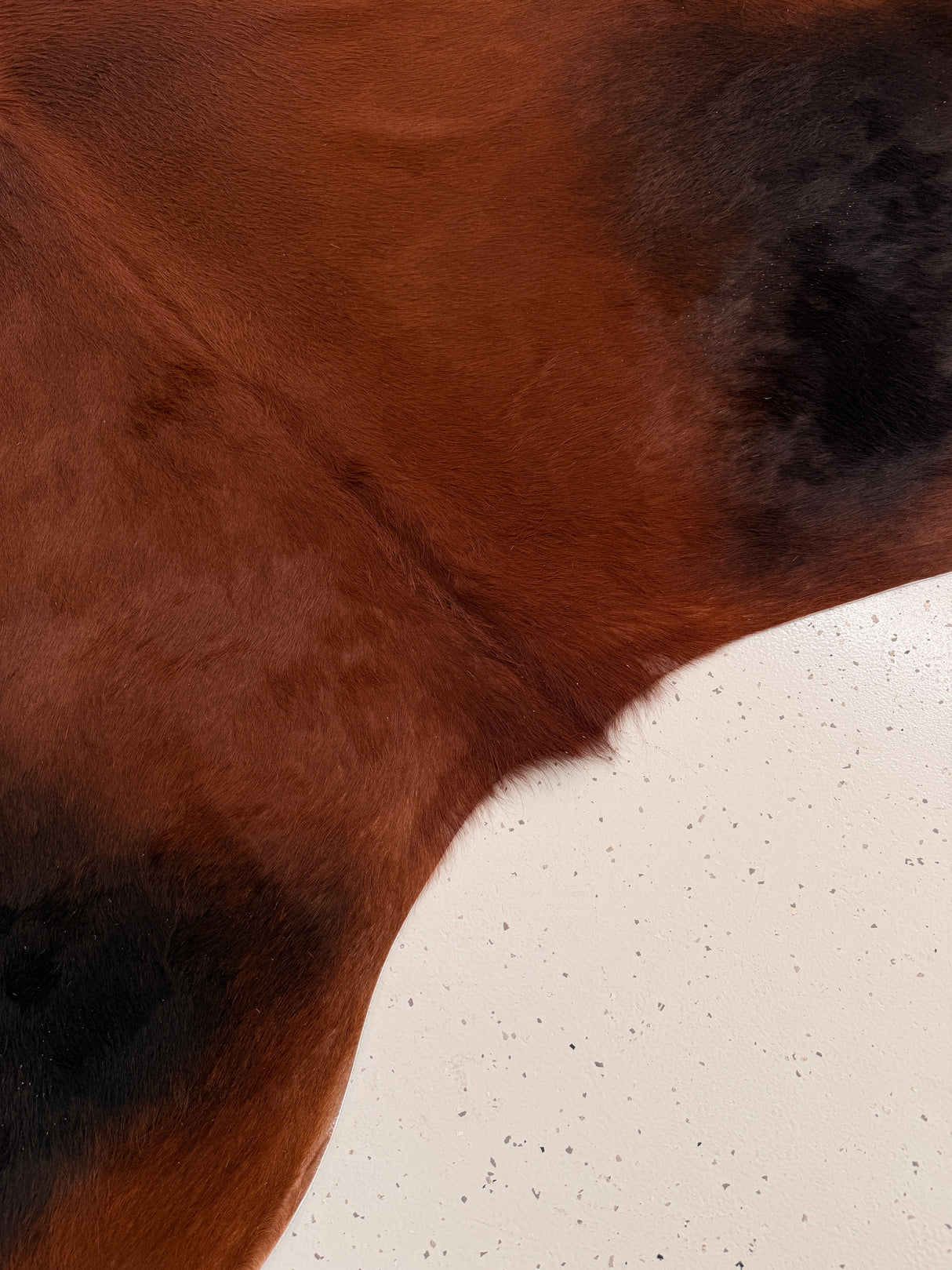 Genuine Cowhide Floor Rug 1015