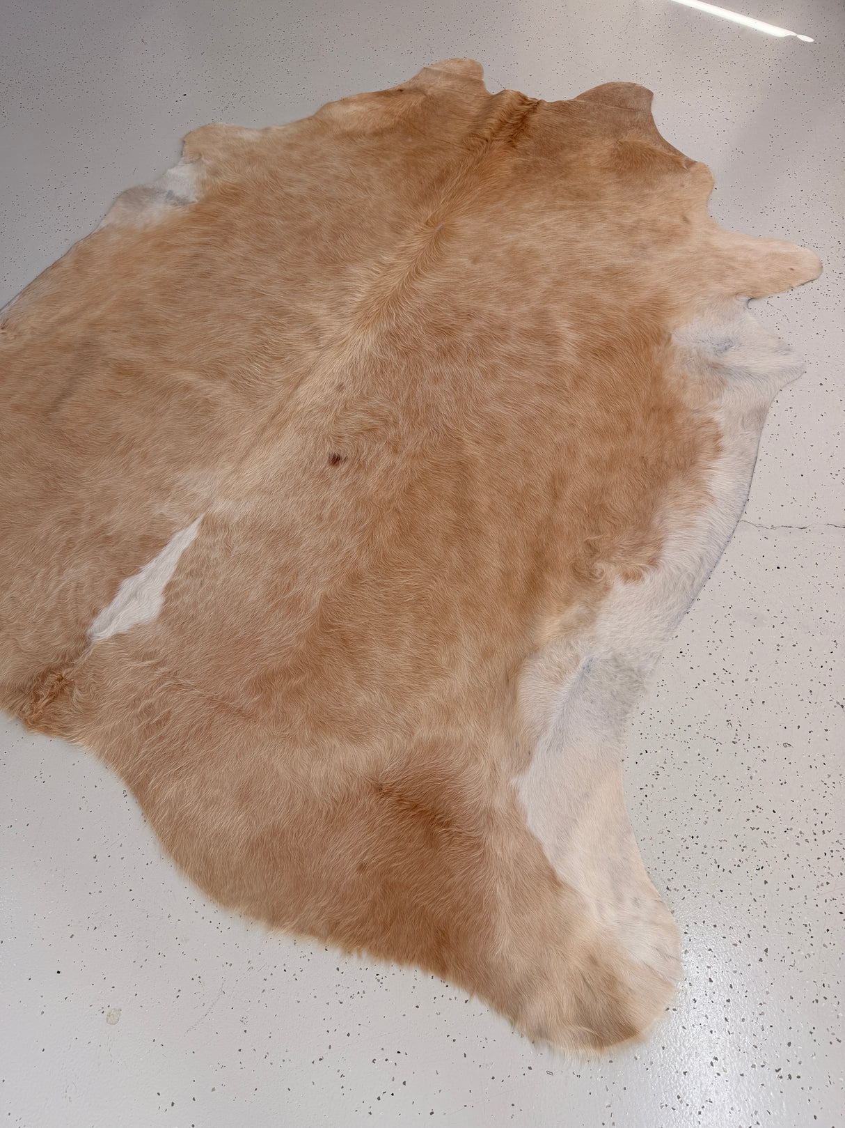 Genuine Cowhide Floor Rug 1018