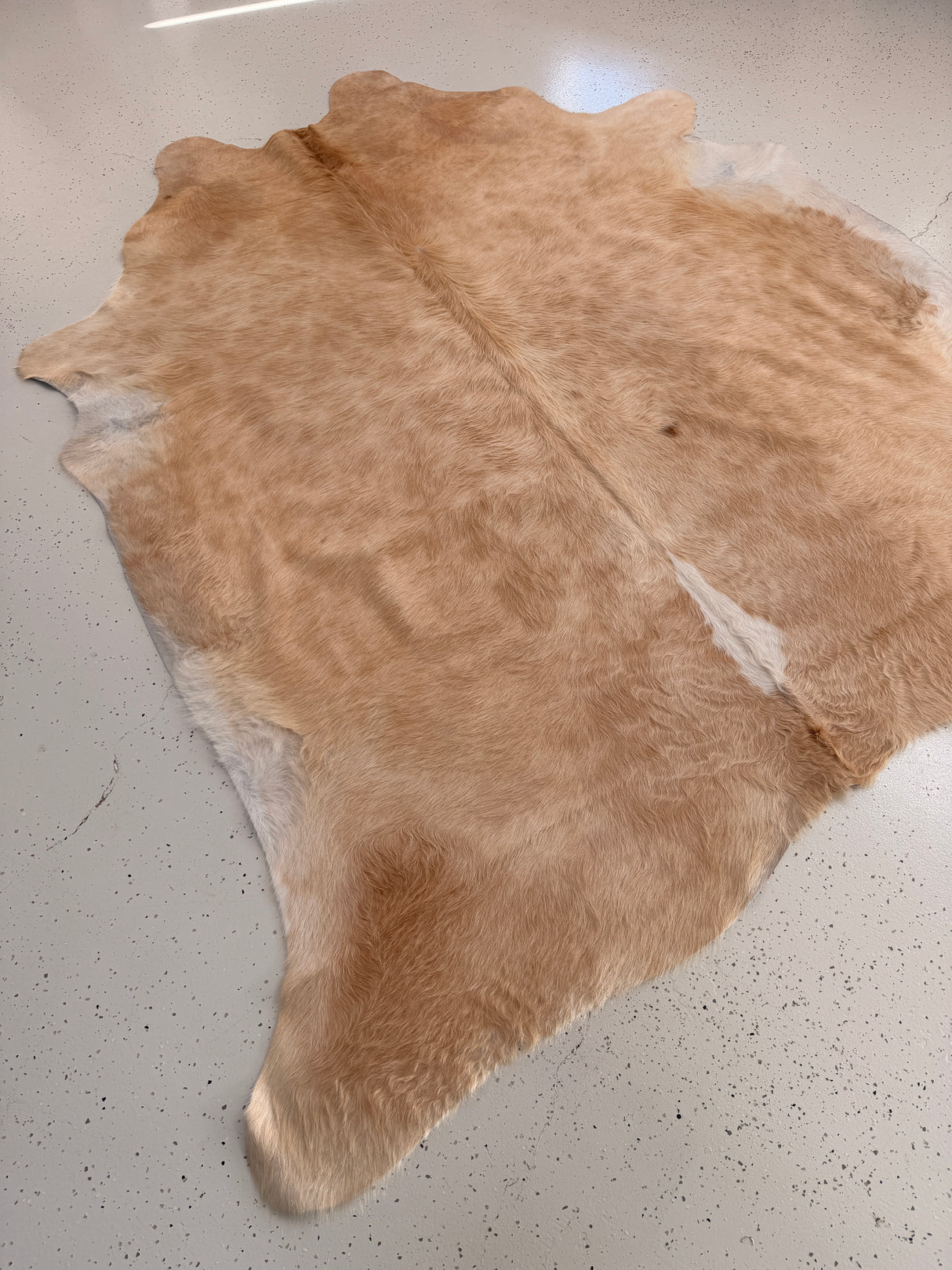 Genuine Cowhide Floor Rug 1018