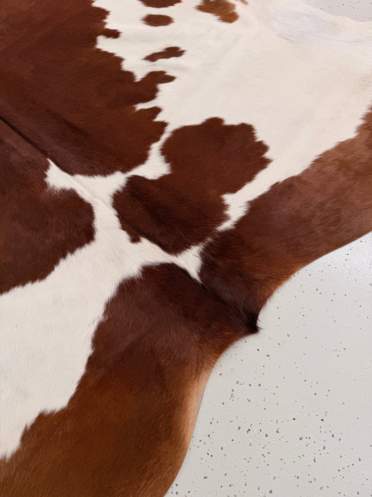 Genuine Cowhide Floor Rug 1027