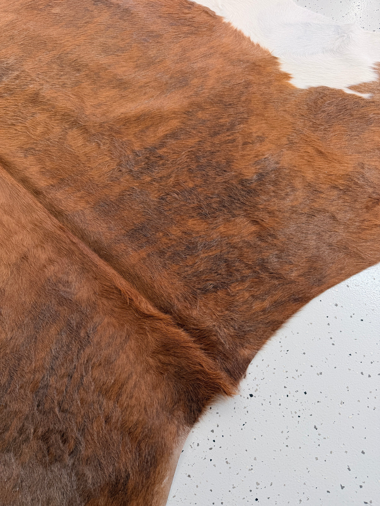 Genuine Cowhide Floor Rug 1037