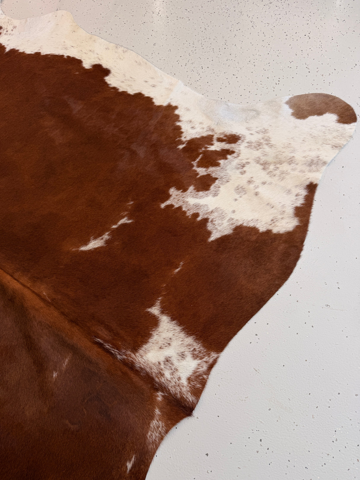 Genuine Cowhide Floor Rug 1054