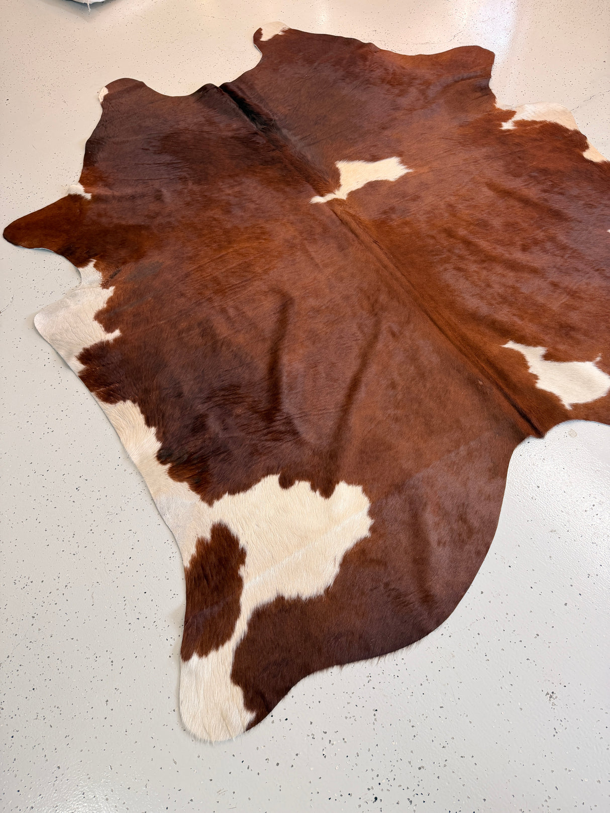 Genuine Cowhide Floor Rug 1058