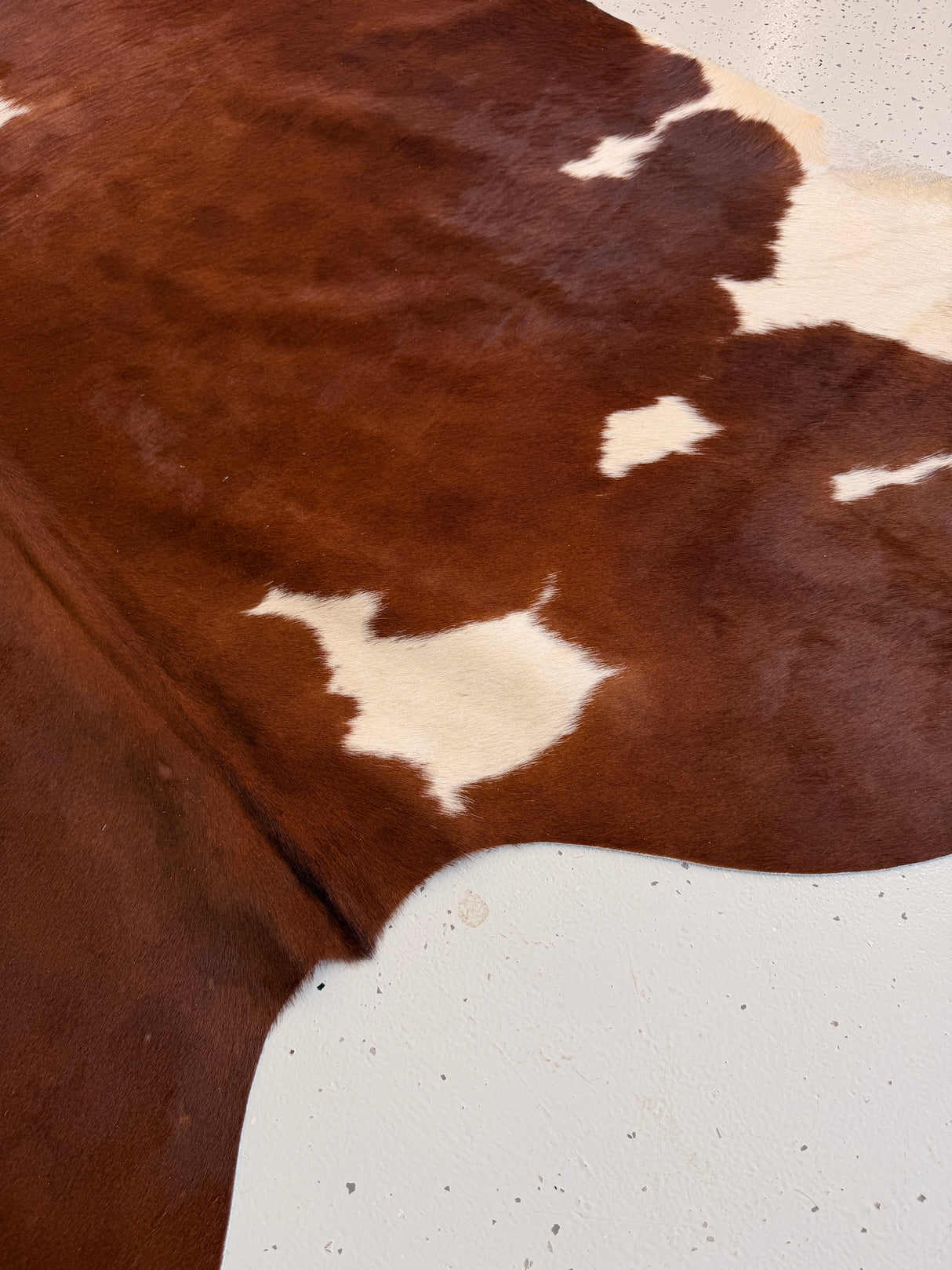 Genuine Cowhide Floor Rug 1058