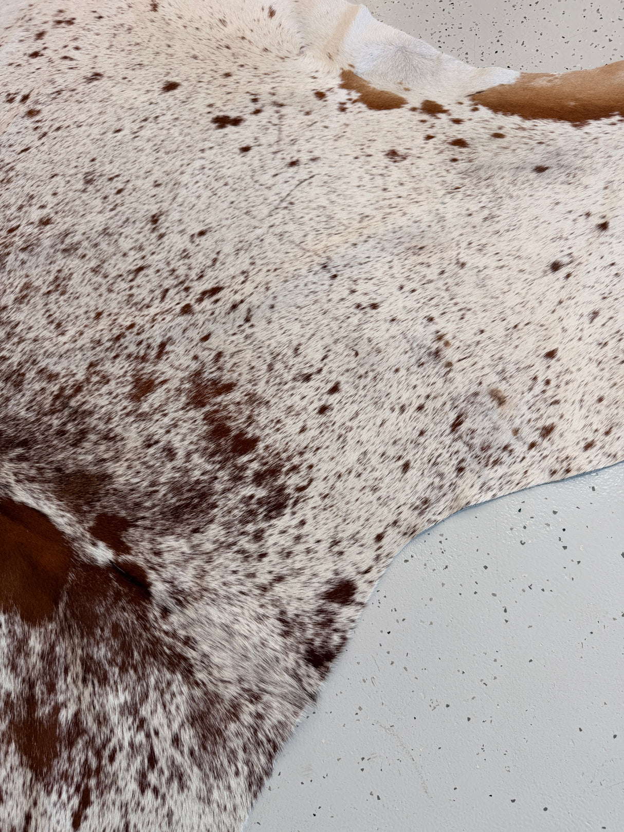 Genuine Cowhide Floor Rug 1060