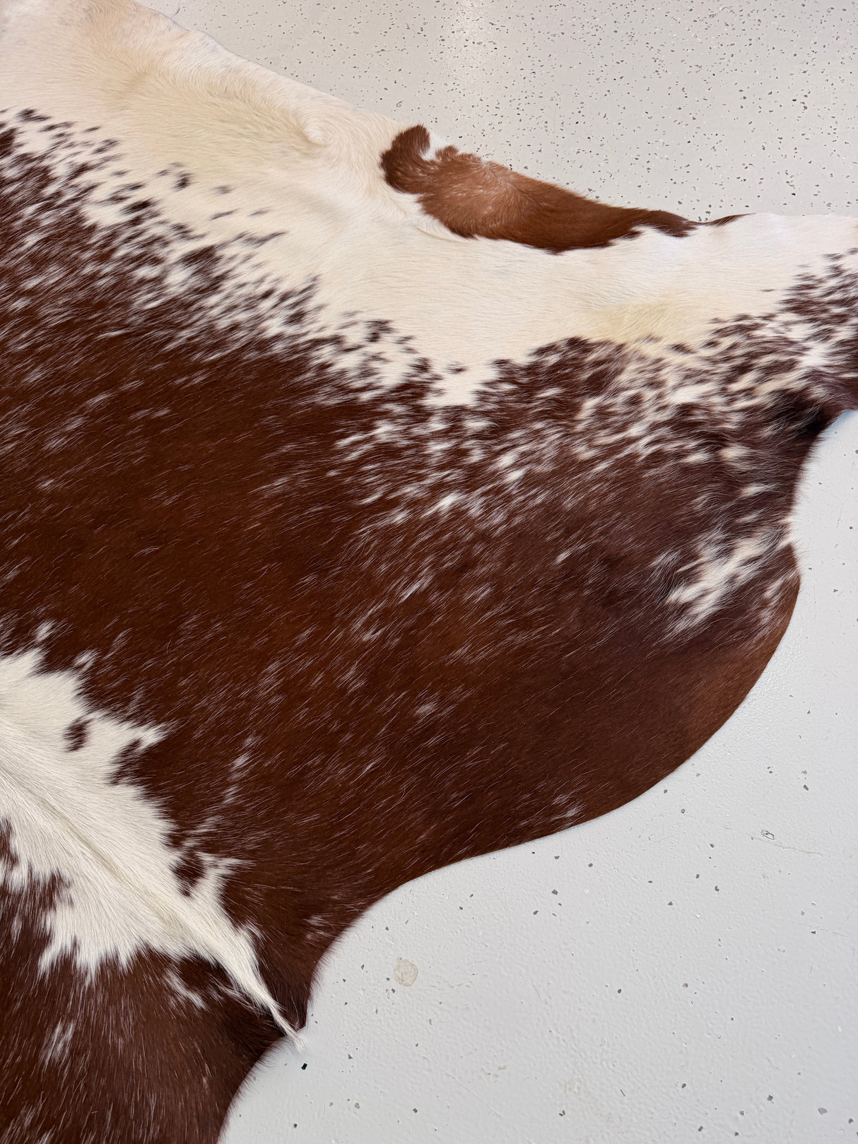 Genuine Cowhide Floor Rug 1065