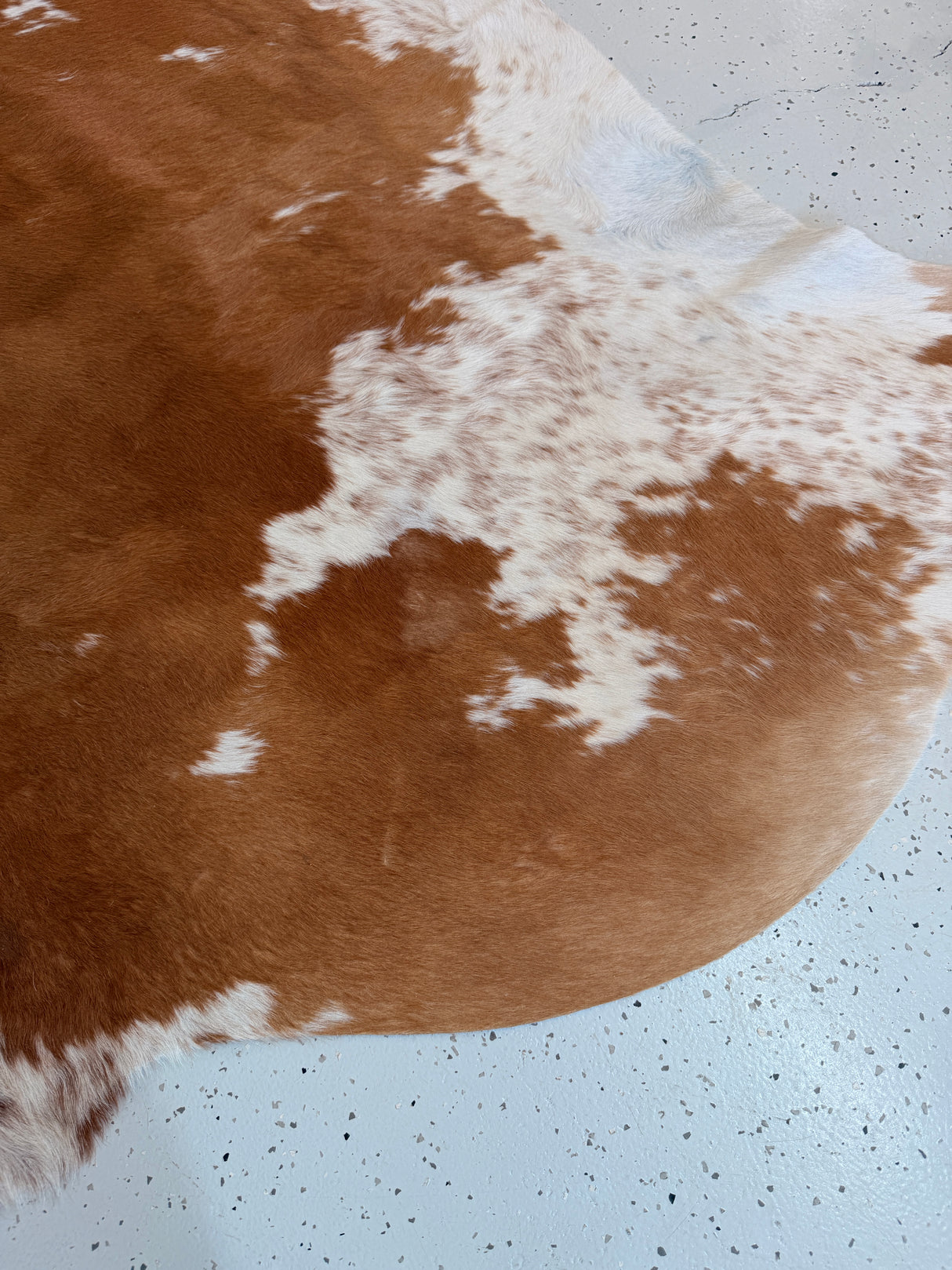 Genuine Cowhide Floor Rug 1068
