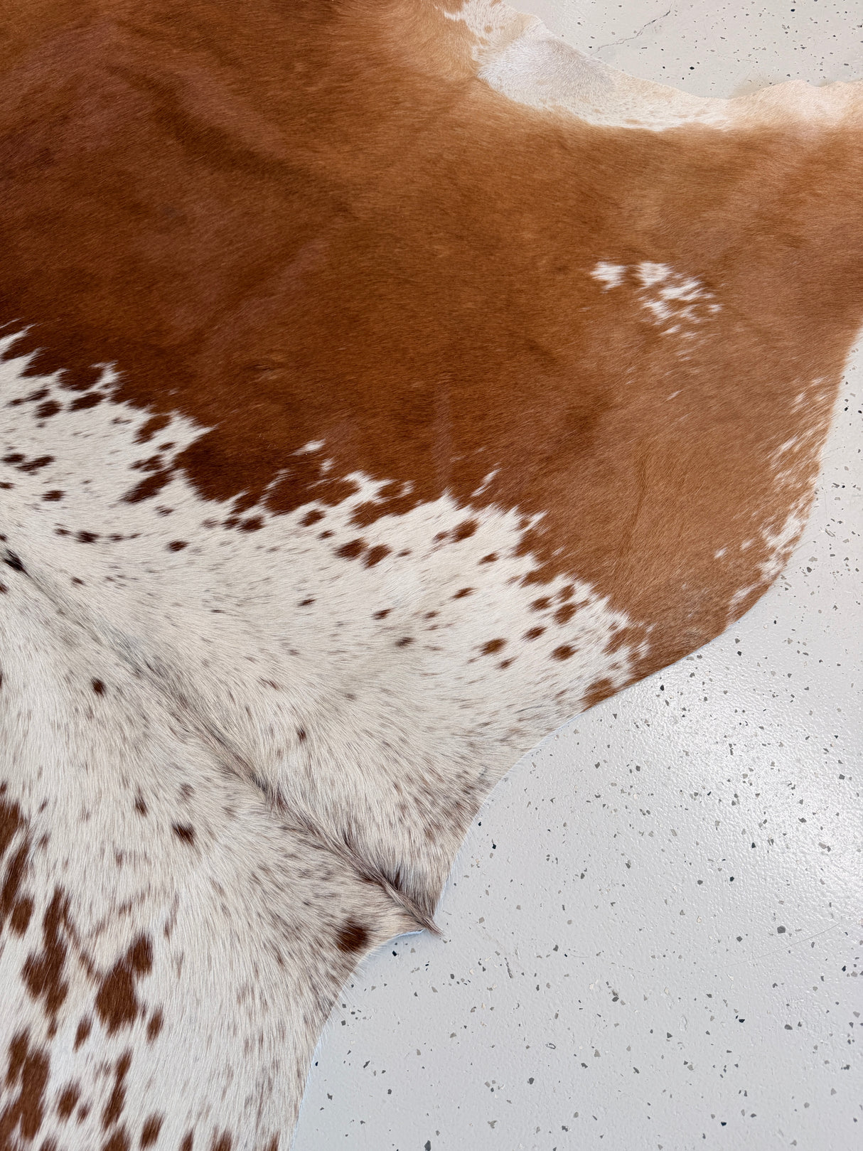 Genuine Cowhide Floor Rug 1071