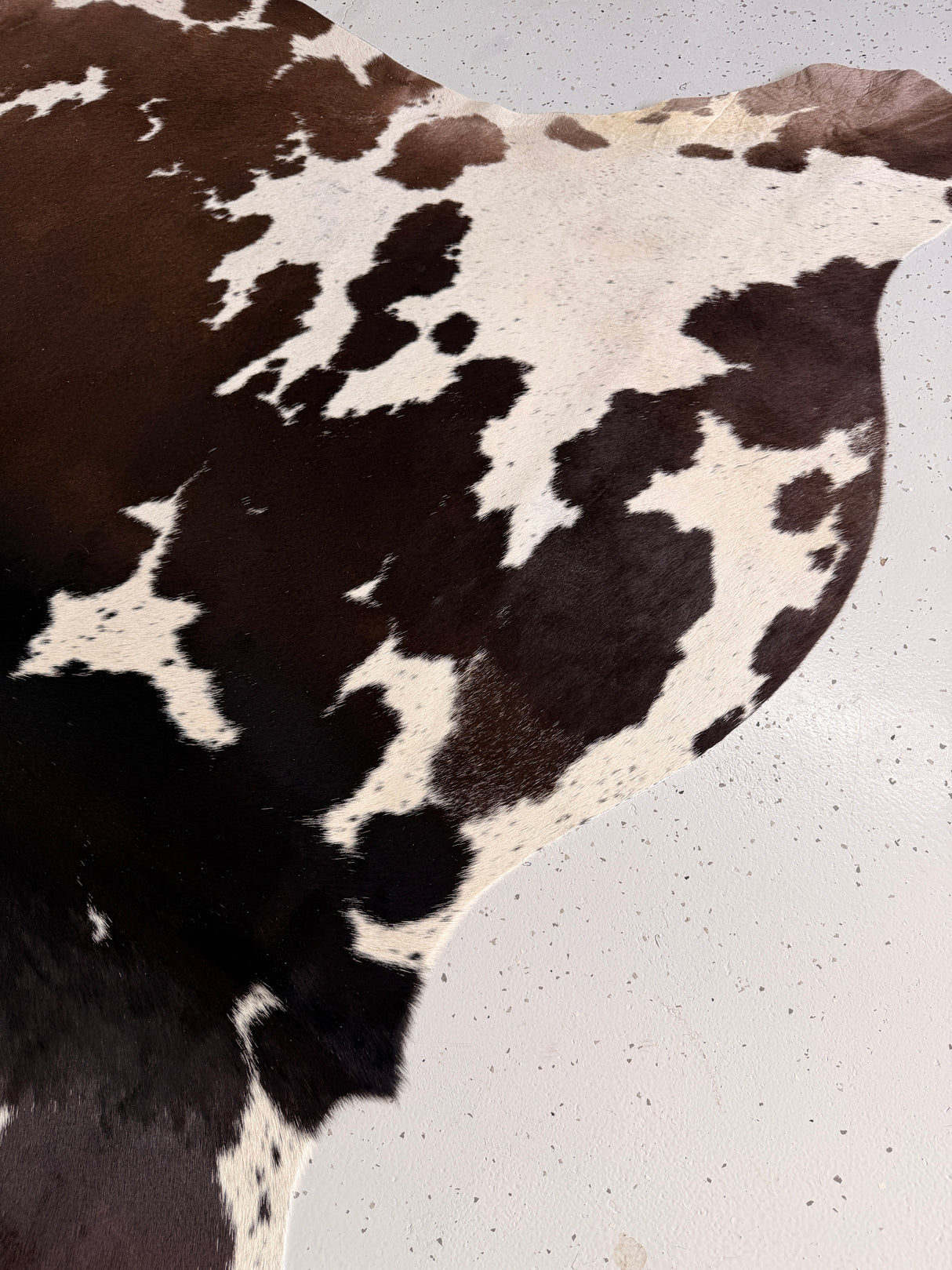 Genuine Cowhide Floor Rug 1124