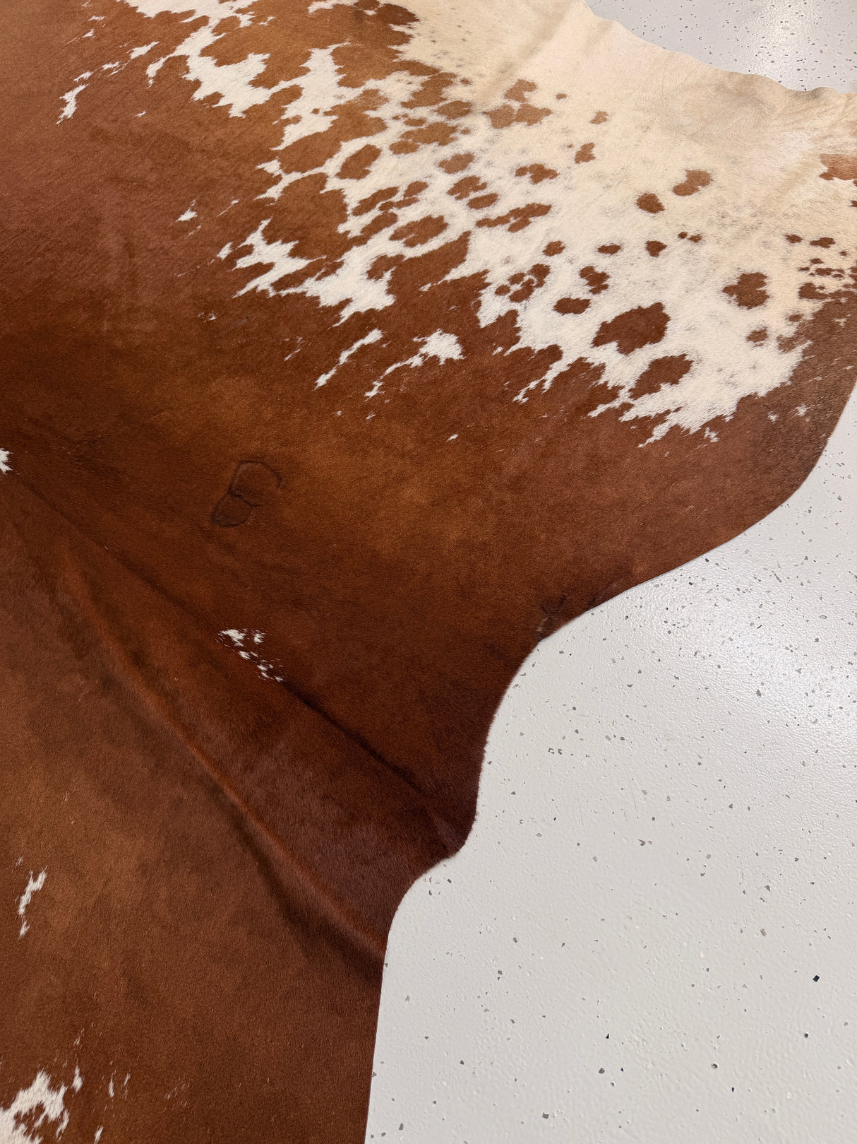 Genuine Cowhide Floor Rug 1133