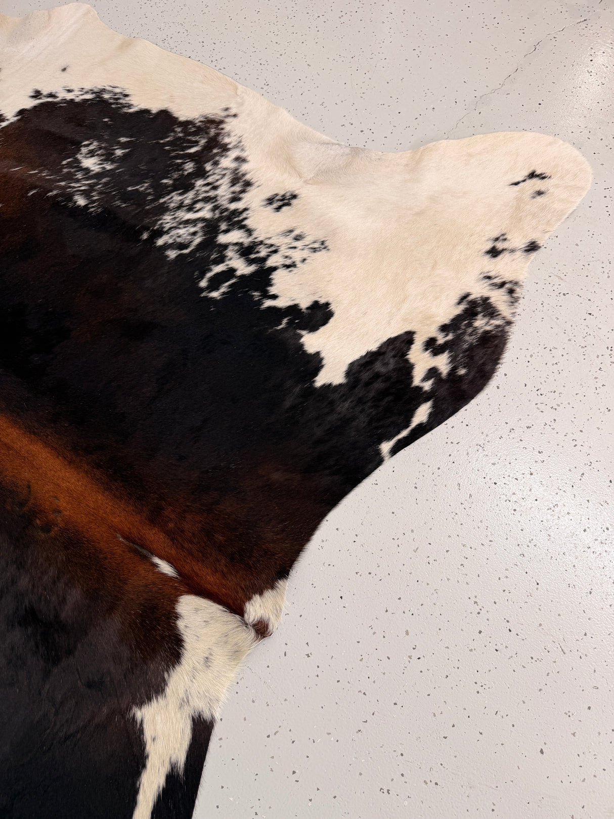 Genuine Cowhide Floor Rug 1135