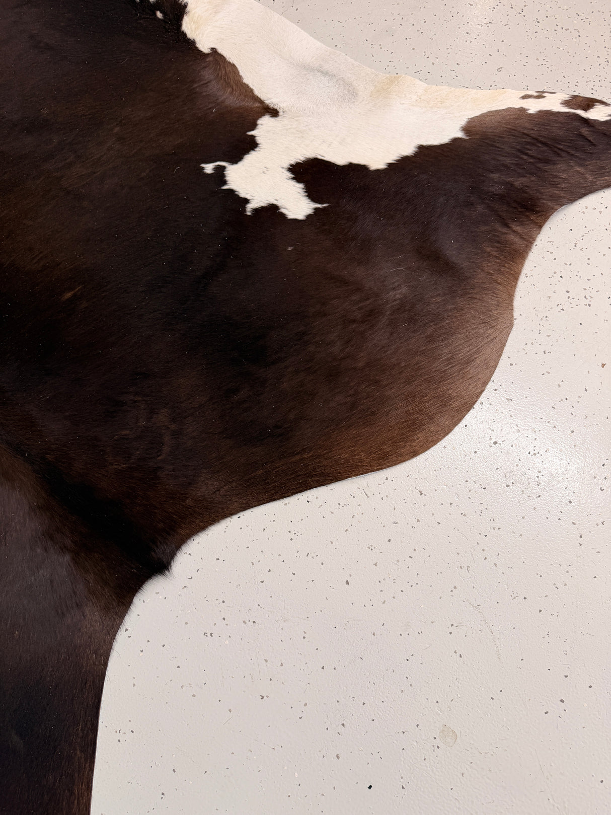 Genuine Cowhide Floor Rug 1137