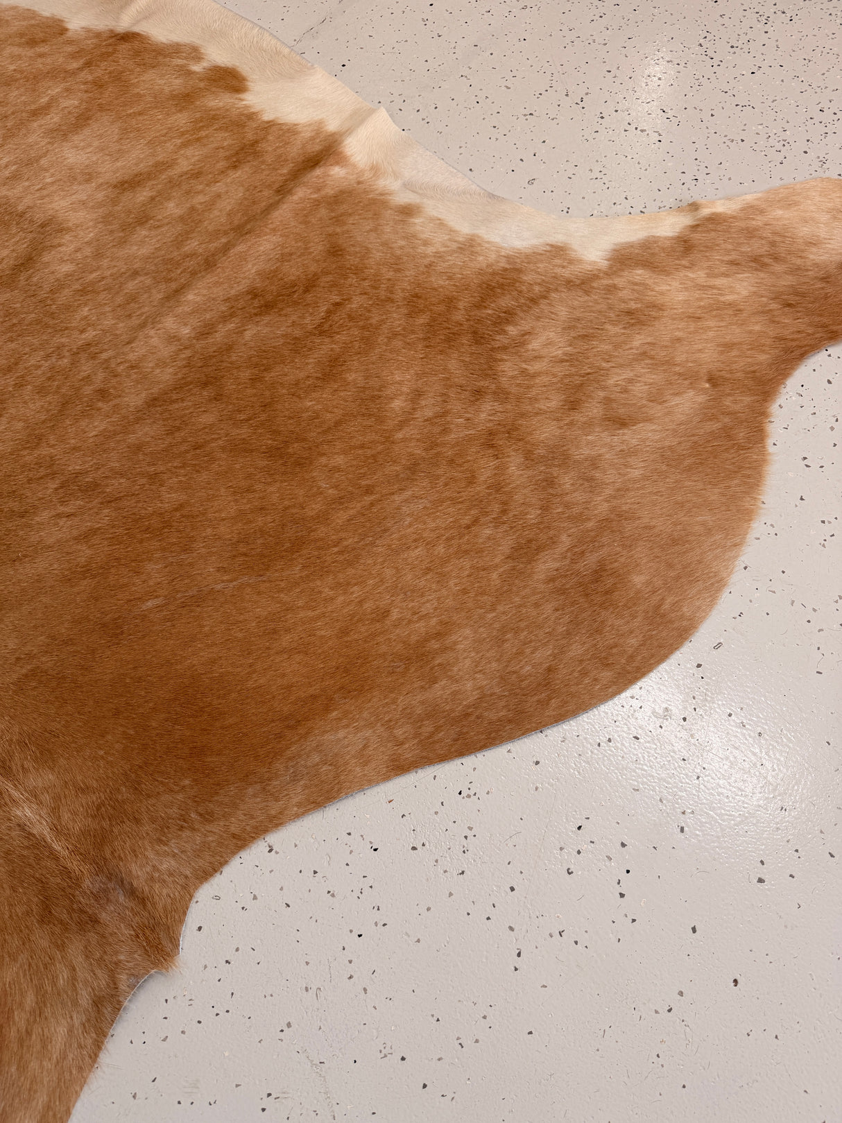 Genuine Cowhide Floor Rug 1143