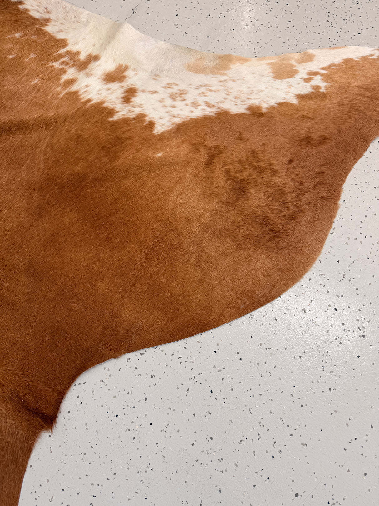 Genuine Cowhide Floor Rug 1145