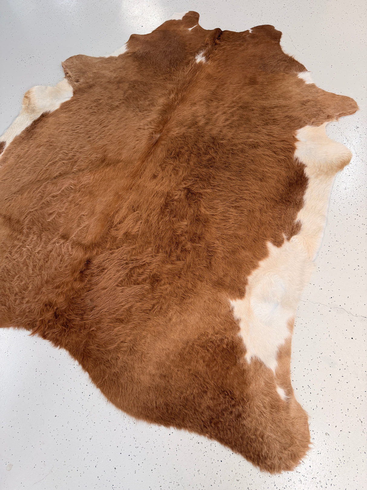 Genuine Cowhide Floor Rug 1146