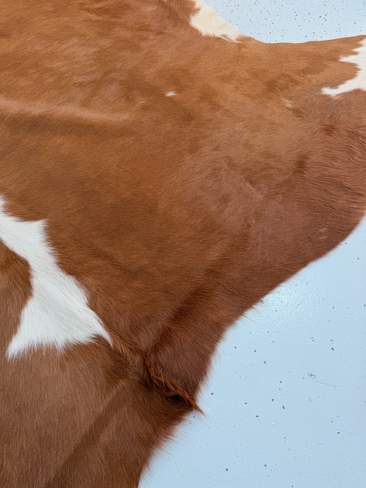 Genuine Cowhide Floor Rug 1147