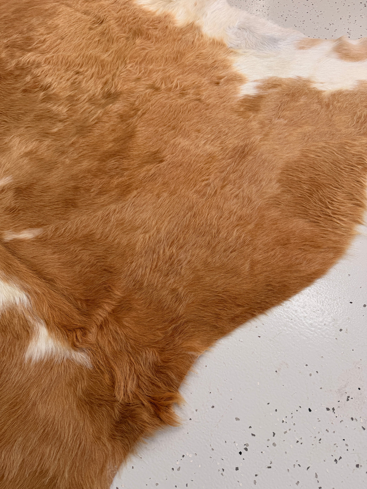 Genuine Cowhide Floor Rug 1148