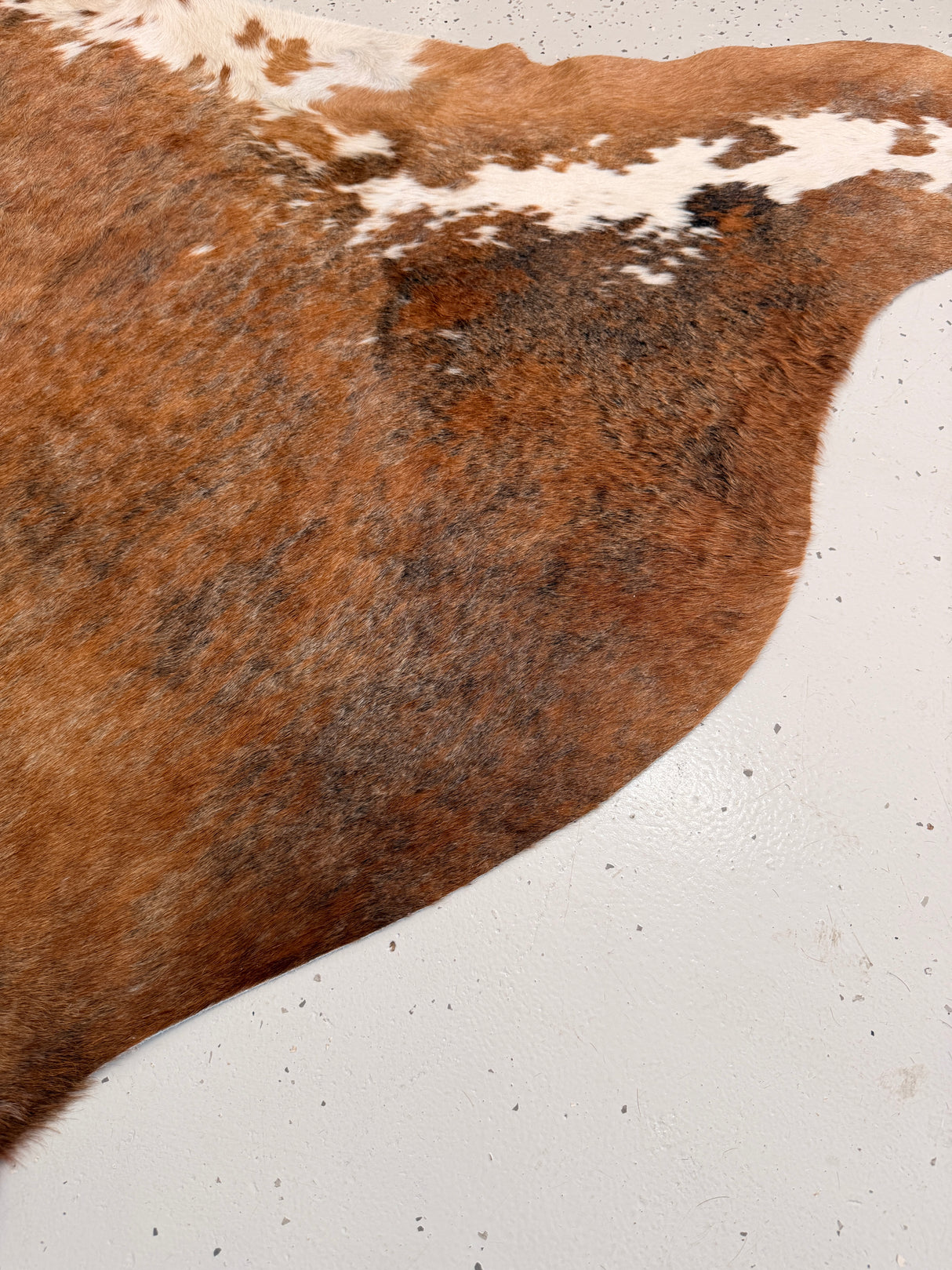 Genuine Cowhide Floor Rug 1149