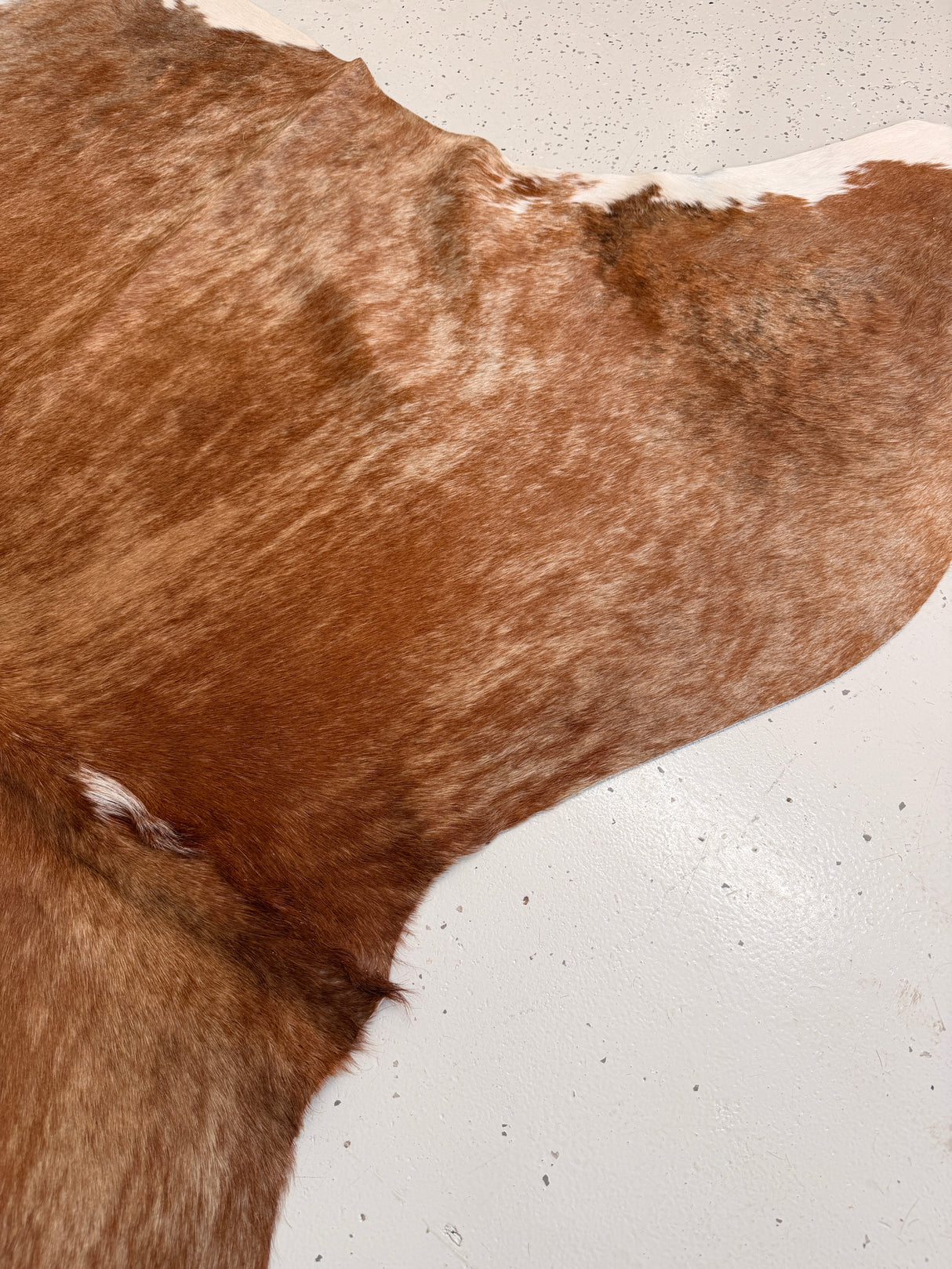 Genuine Cowhide Floor Rug 1152
