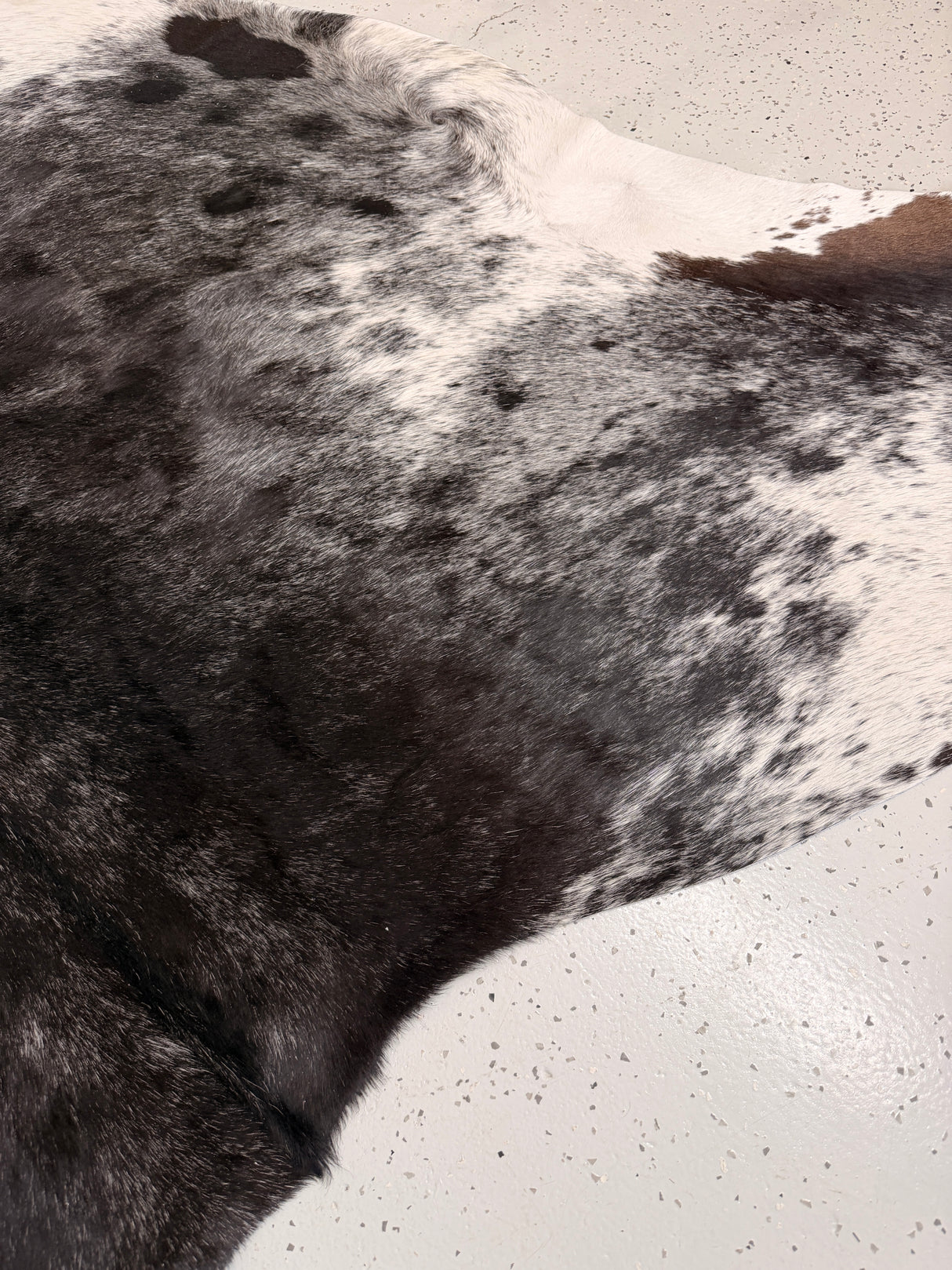 Genuine Cowhide Floor Rug 1156