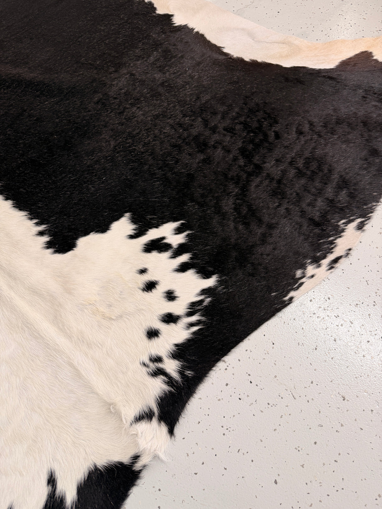 Genuine Cowhide Floor Rug 1158
