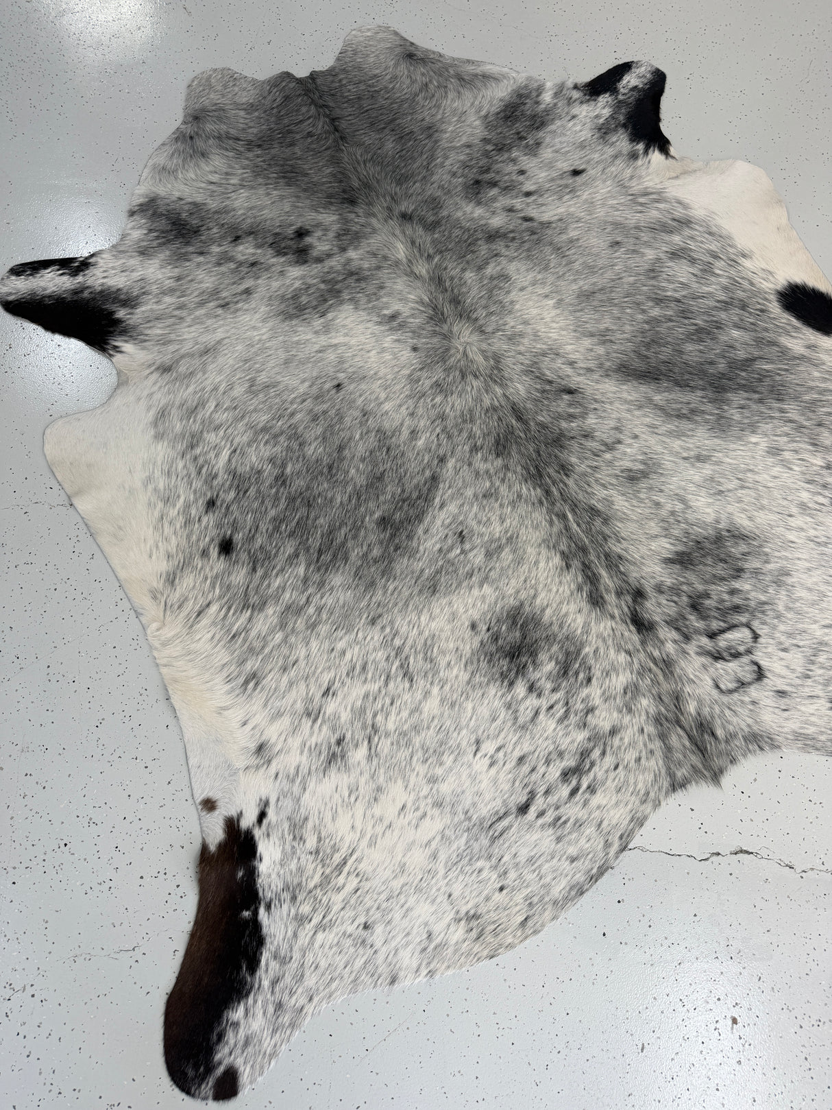 Genuine Cowhide Floor Rug 886
