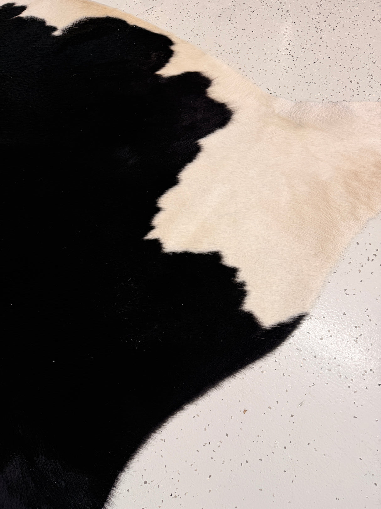 Genuine Cowhide Floor Rug 1161
