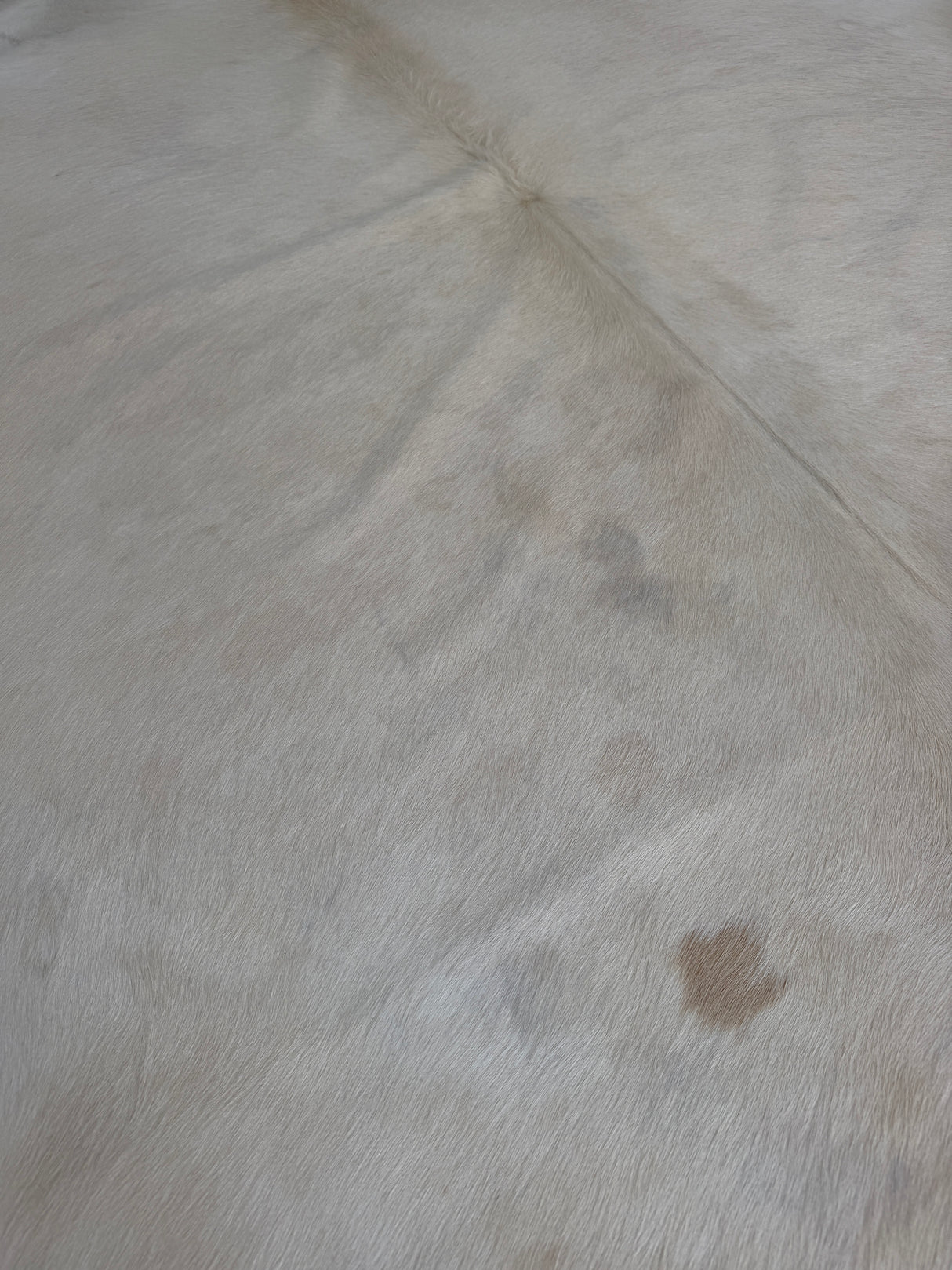 Genuine Cowhide Floor Rug 887