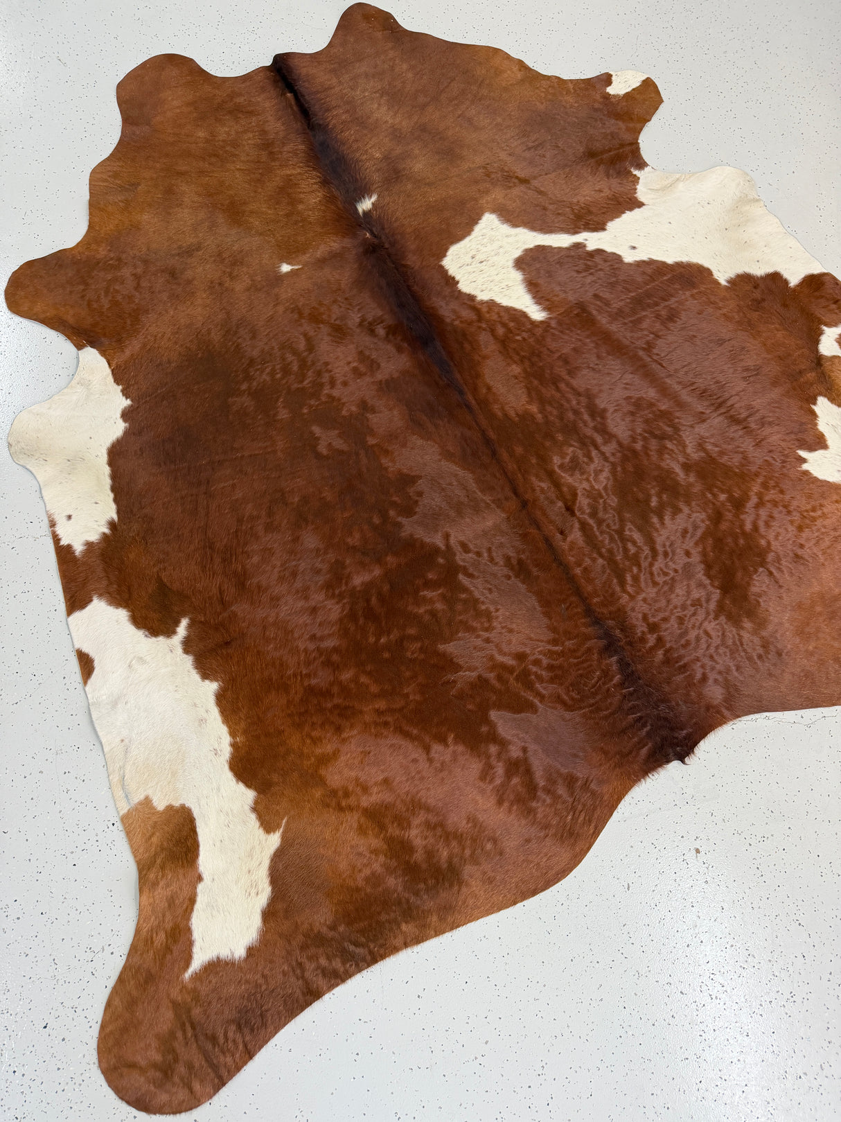 Genuine Cowhide Floor Rug 889