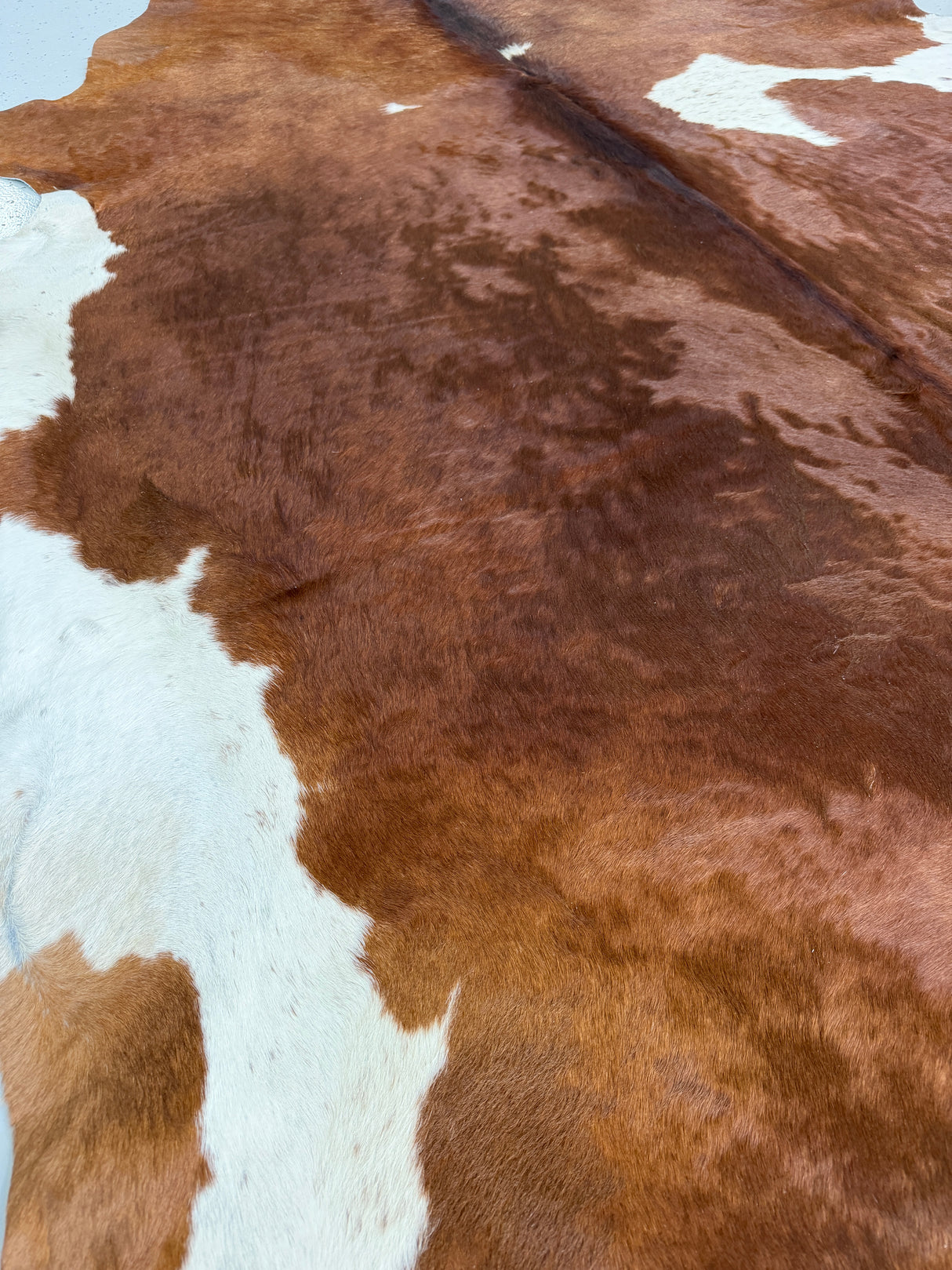 Genuine Cowhide Floor Rug 889