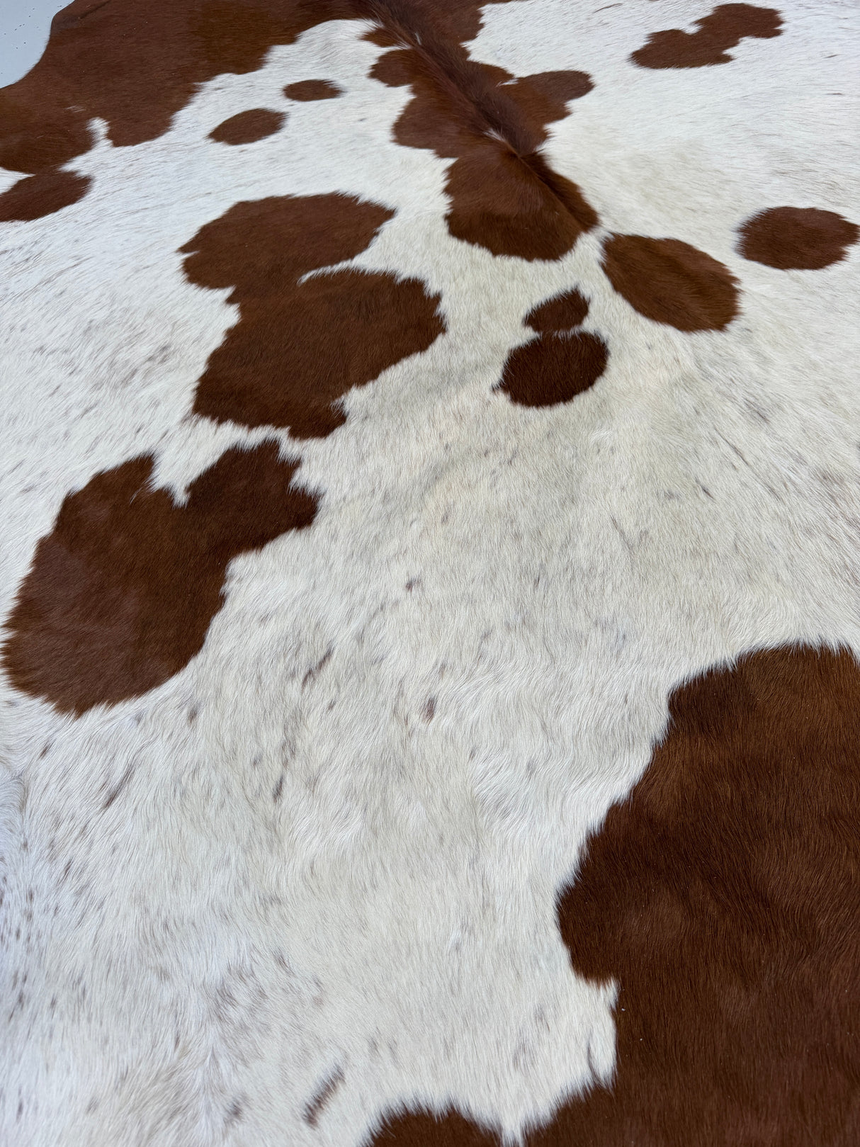 Genuine Cowhide Floor Rug 890
