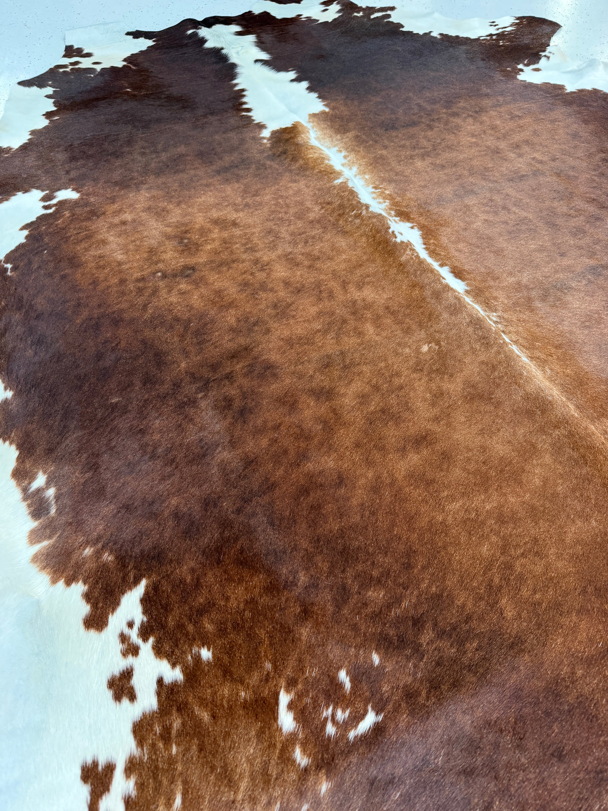 Genuine Cowhide Floor Rug 891