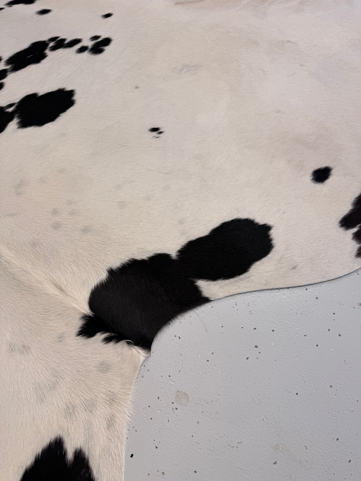 Genuine Cowhide Floor Rug 1174