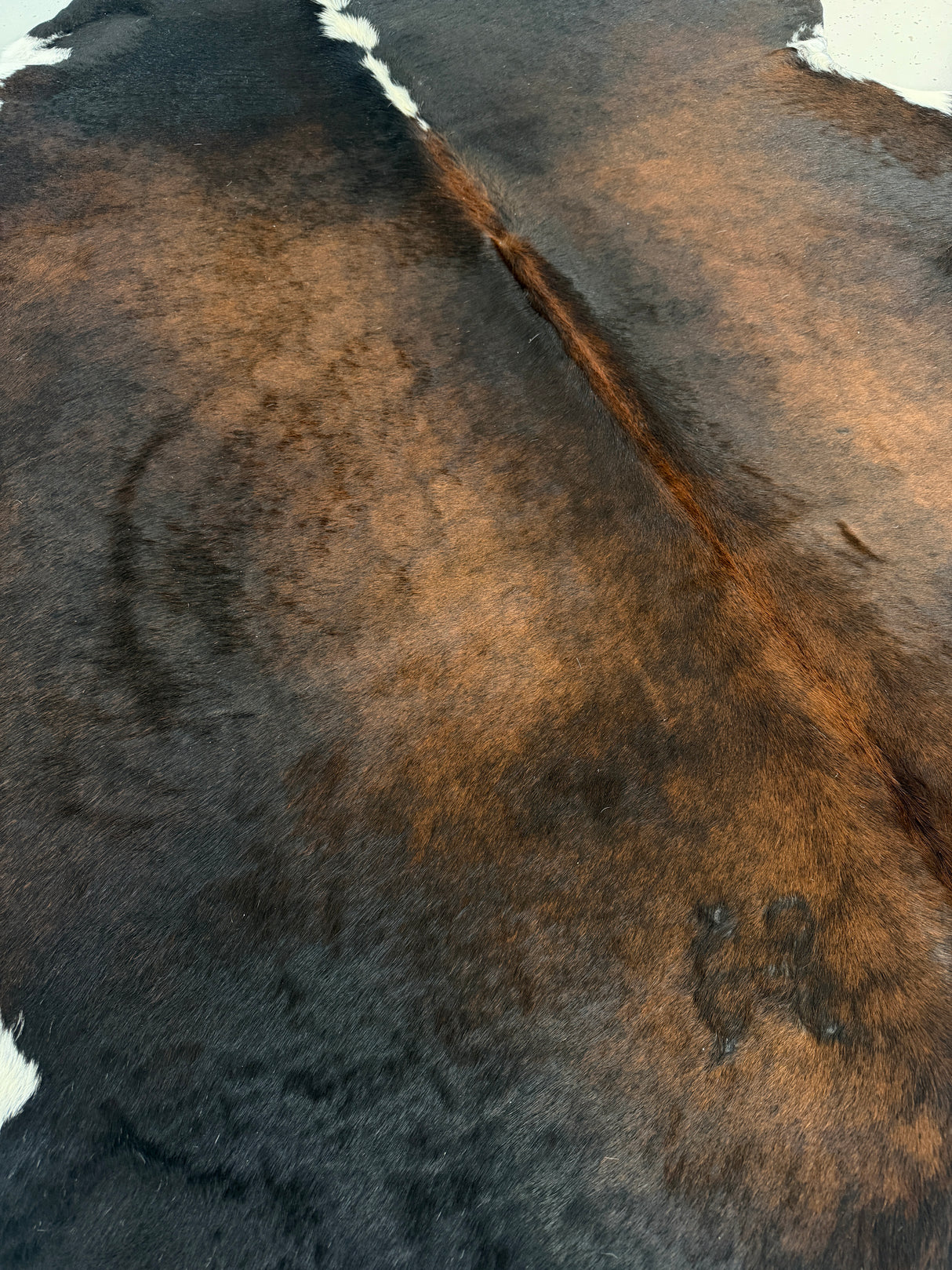 Genuine Cowhide Floor Rug 904