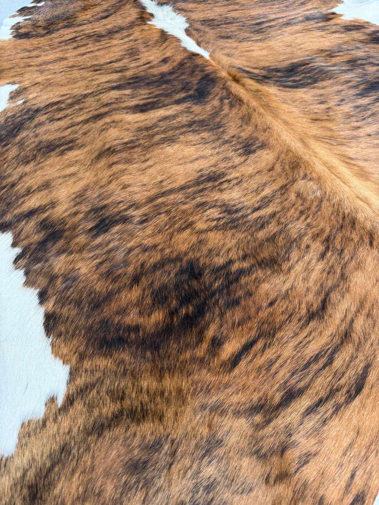 Genuine Cowhide Floor Rug 906