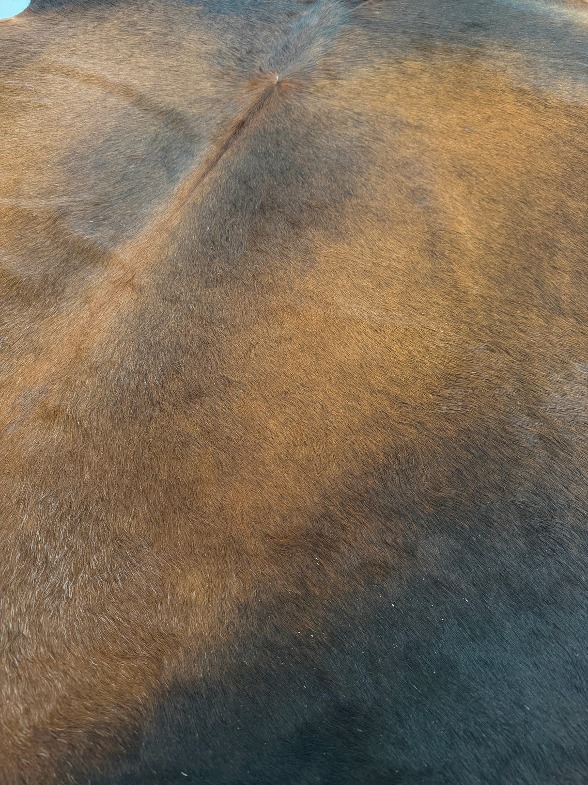 Genuine Cowhide Floor Rug 909