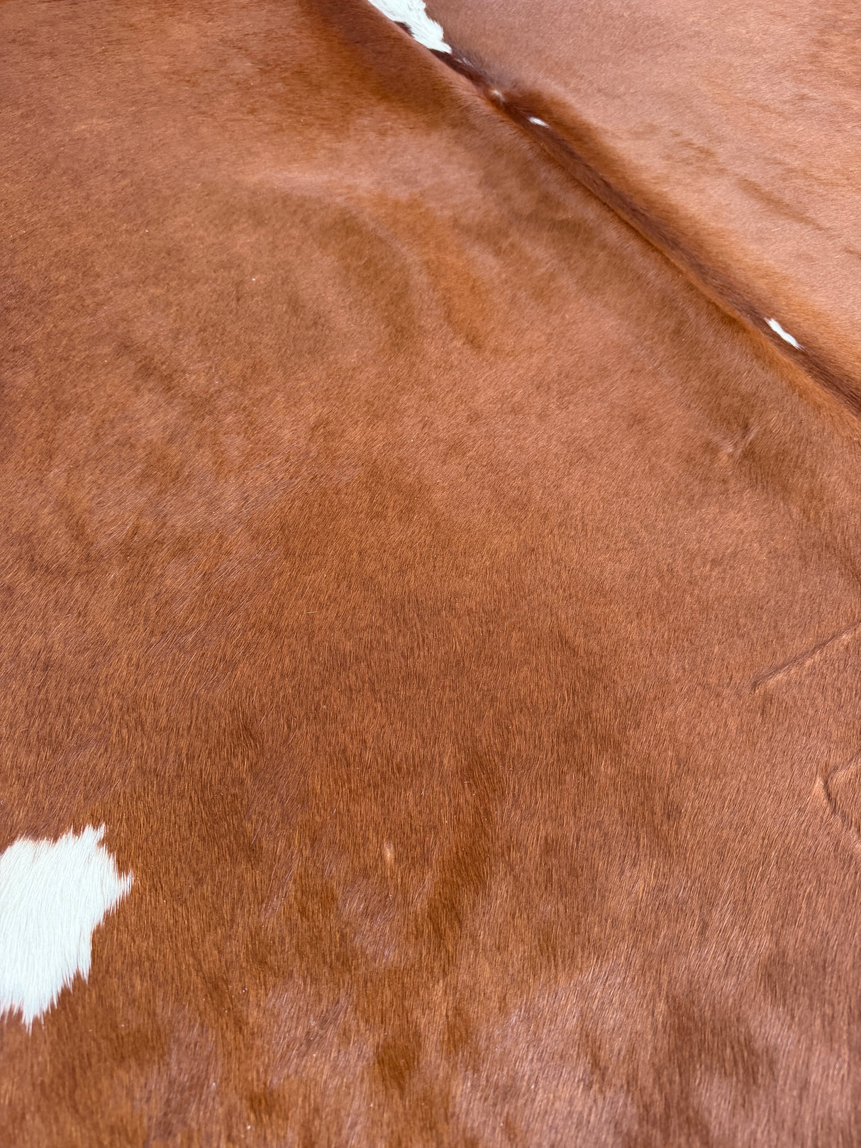 Genuine Cowhide Floor Rug 922