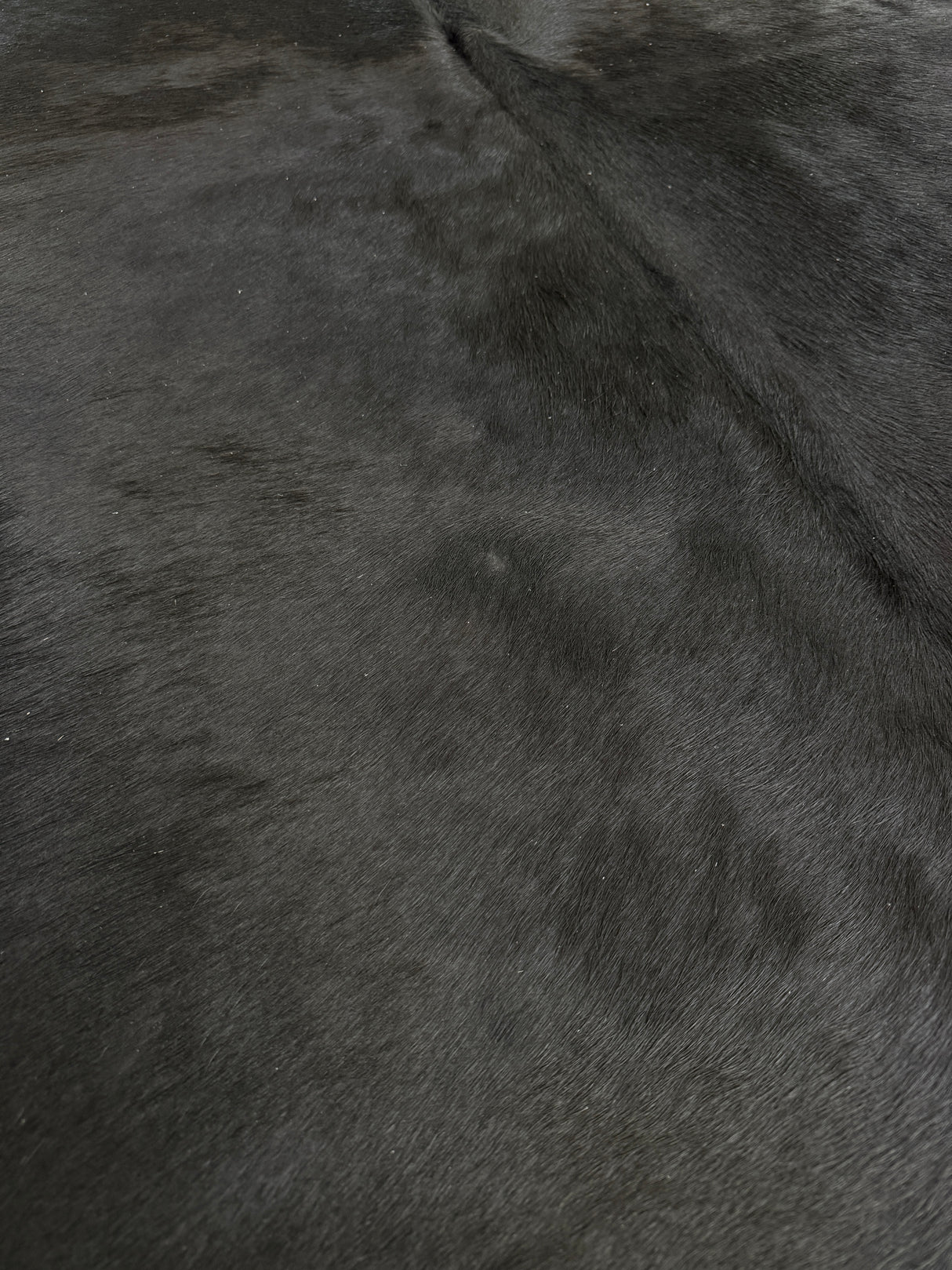 Genuine Cowhide Floor Rug 925