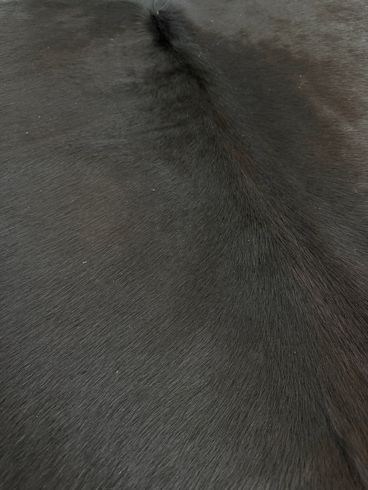 Genuine Cowhide Floor Rug 926