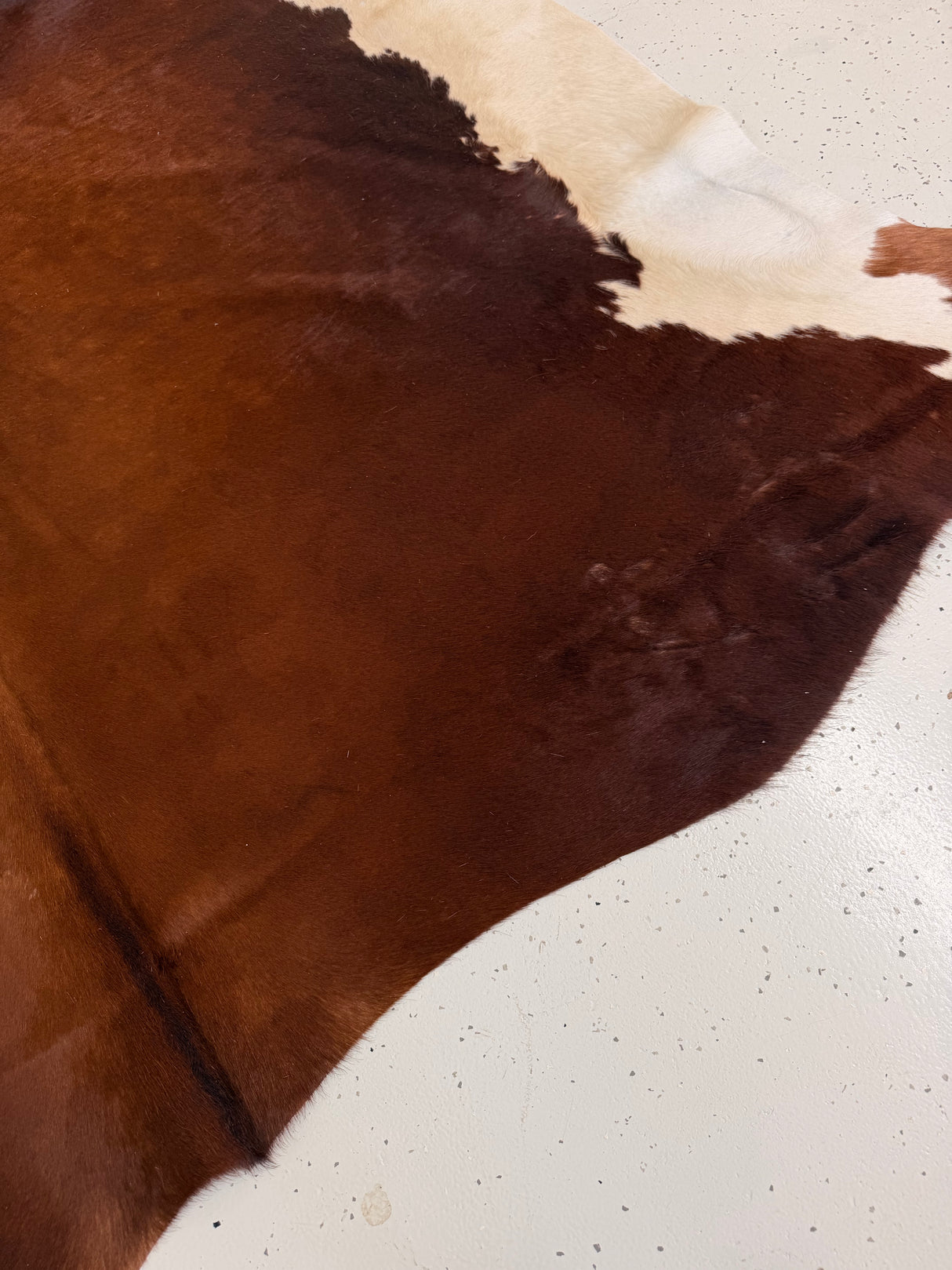 Genuine Cowhide Floor Rug 1088