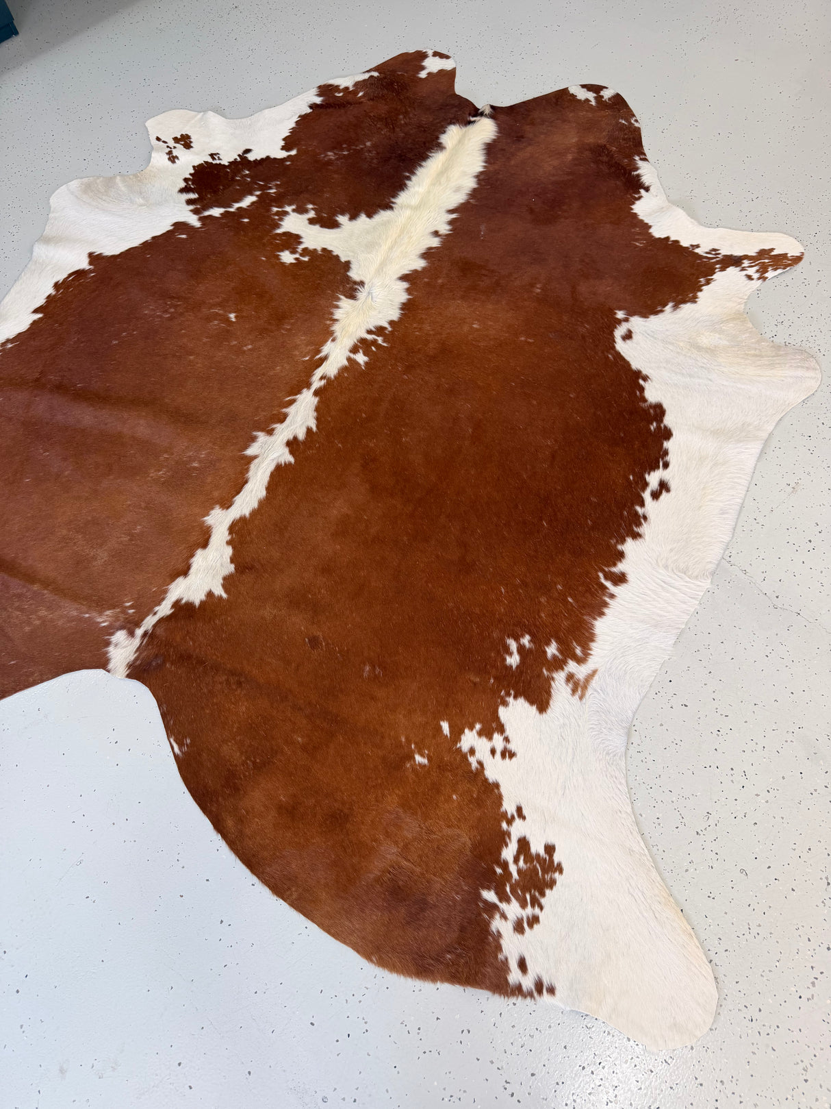 Genuine Cowhide Floor Rug 1093