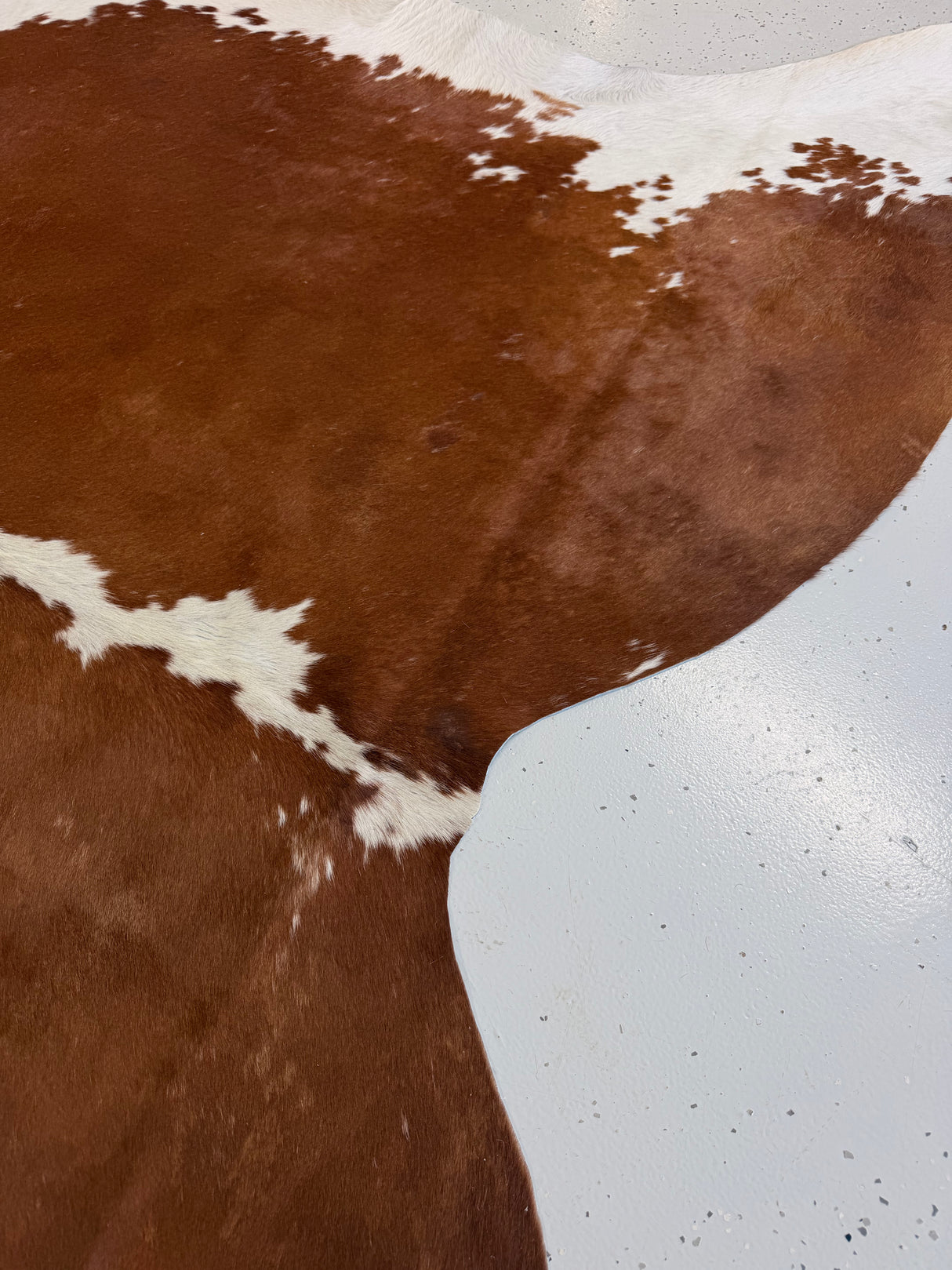 Genuine Cowhide Floor Rug 1093
